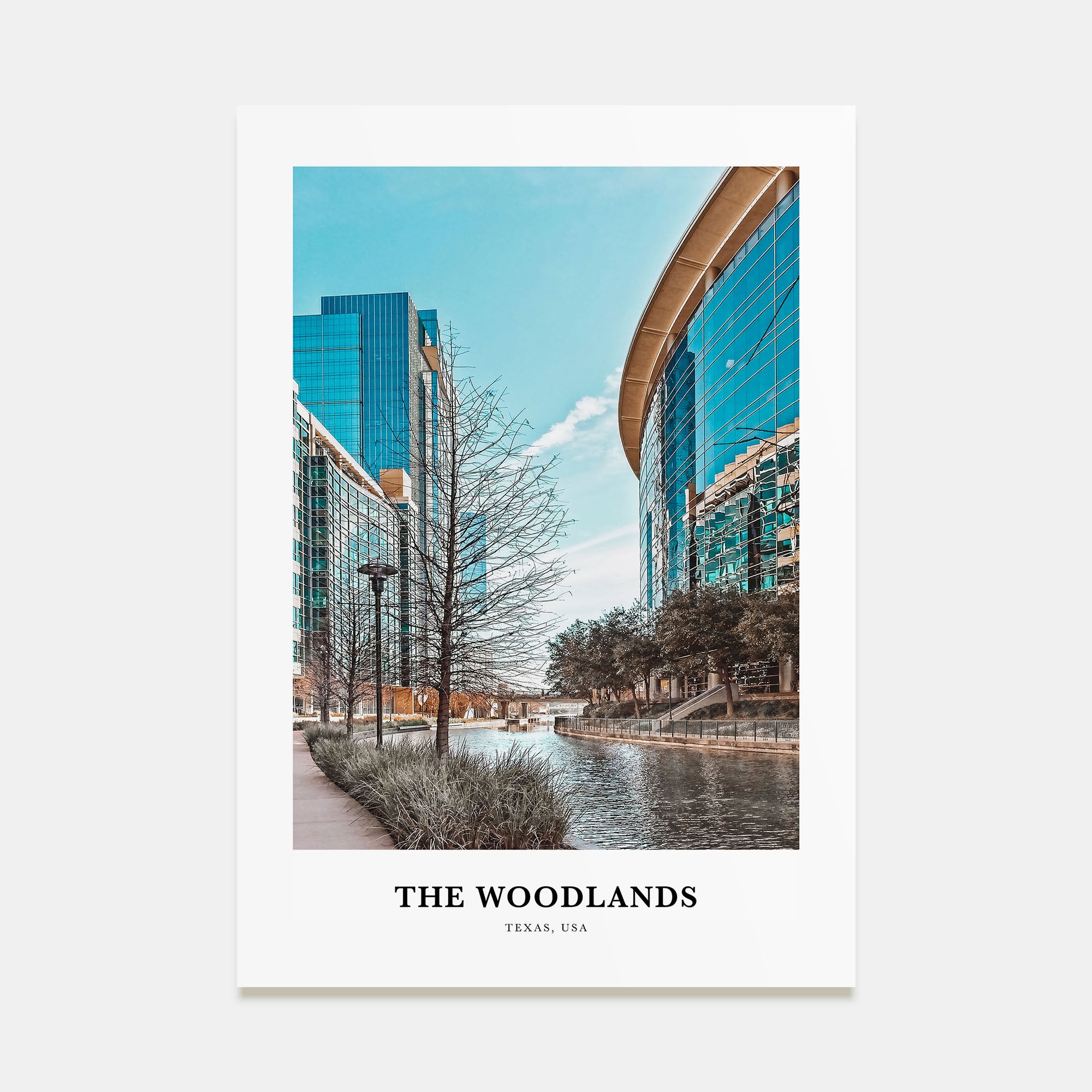 The Woodlands Portrait Color Poster