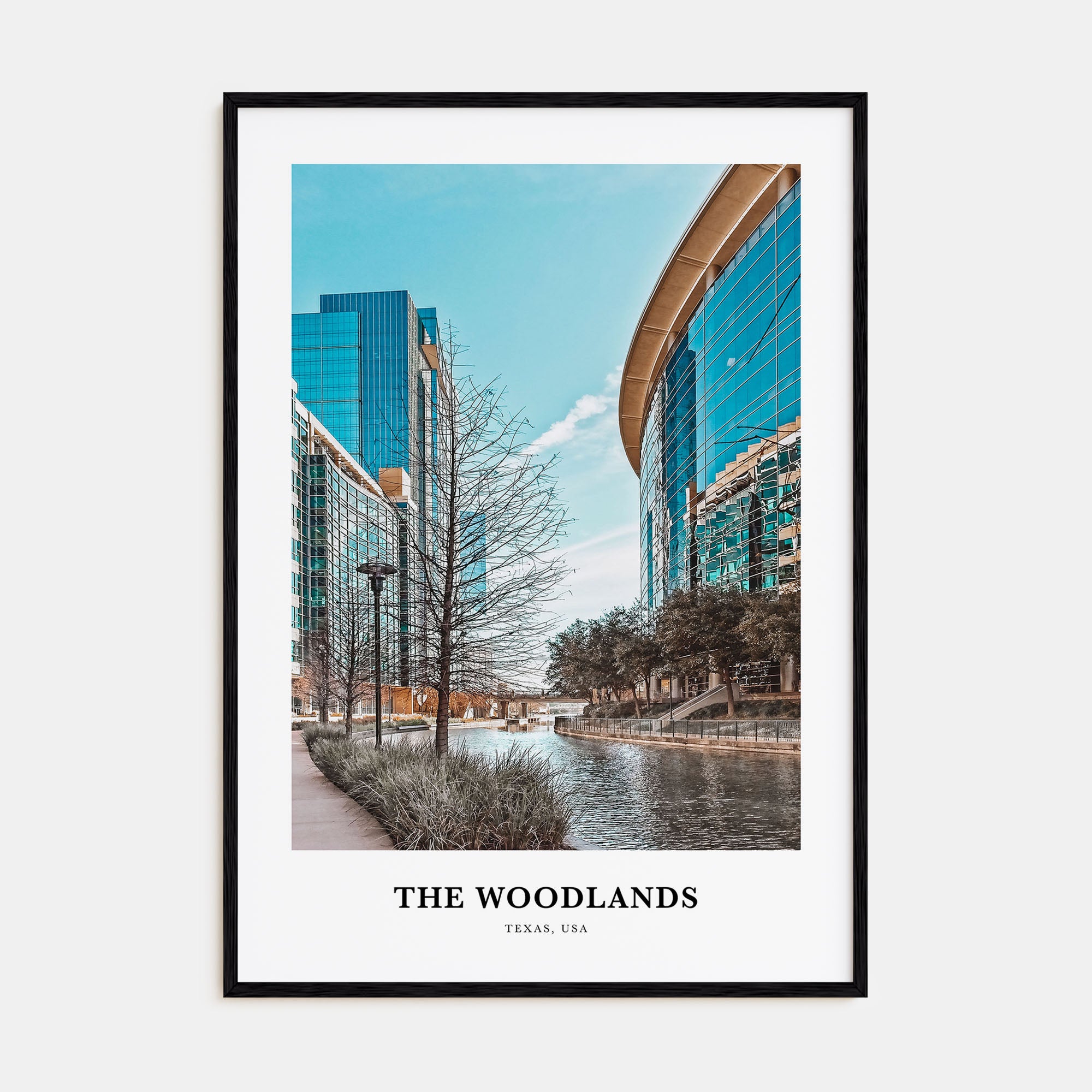 The Woodlands Portrait Color Poster