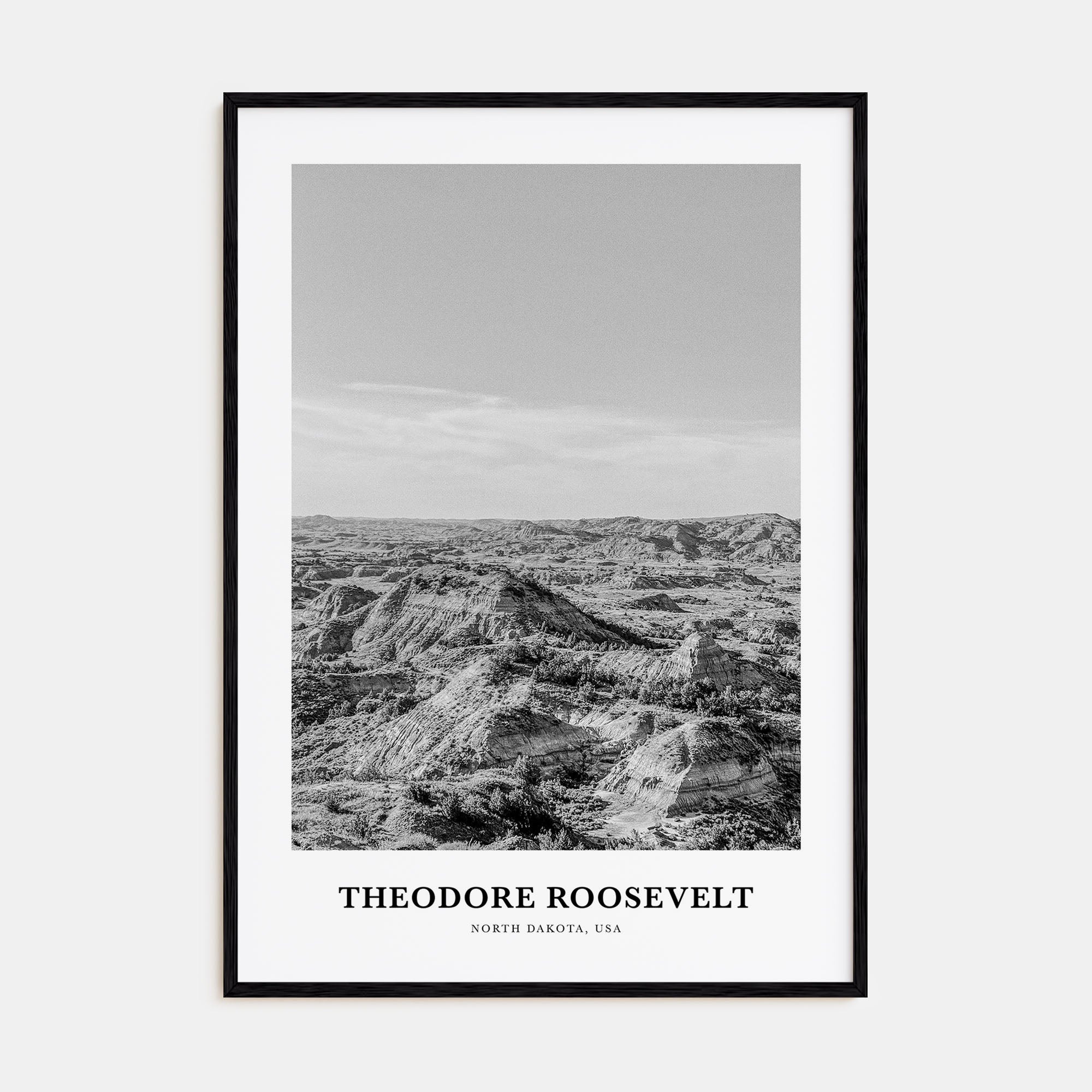 Theodore Roosevelt National Park Portrait B&W Poster
