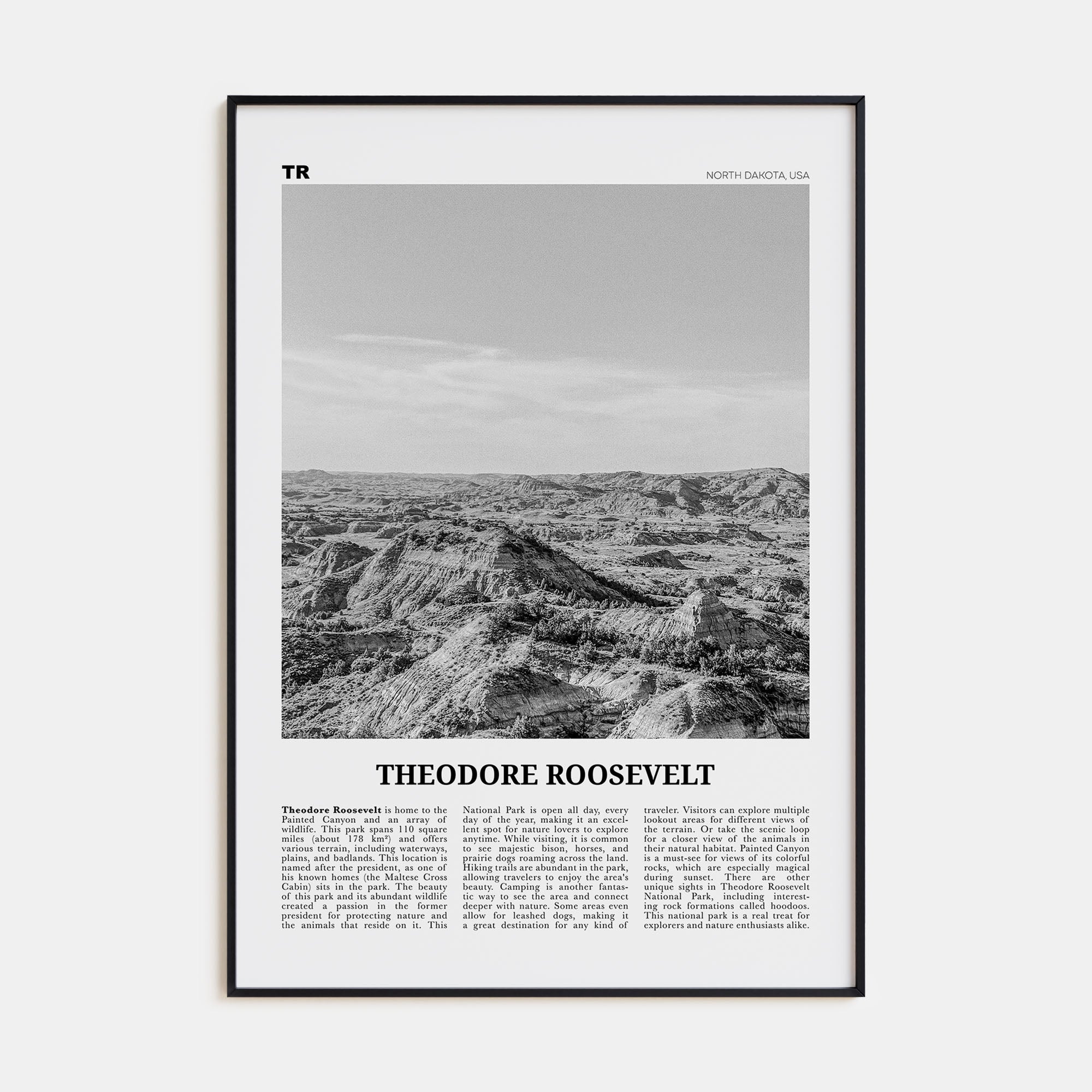 Theodore Roosevelt National Park Travel B&W Poster