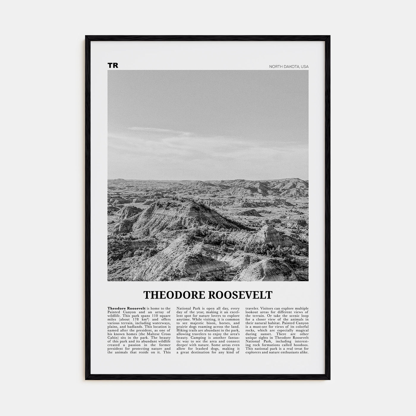 Theodore Roosevelt National Park Travel B&W Poster