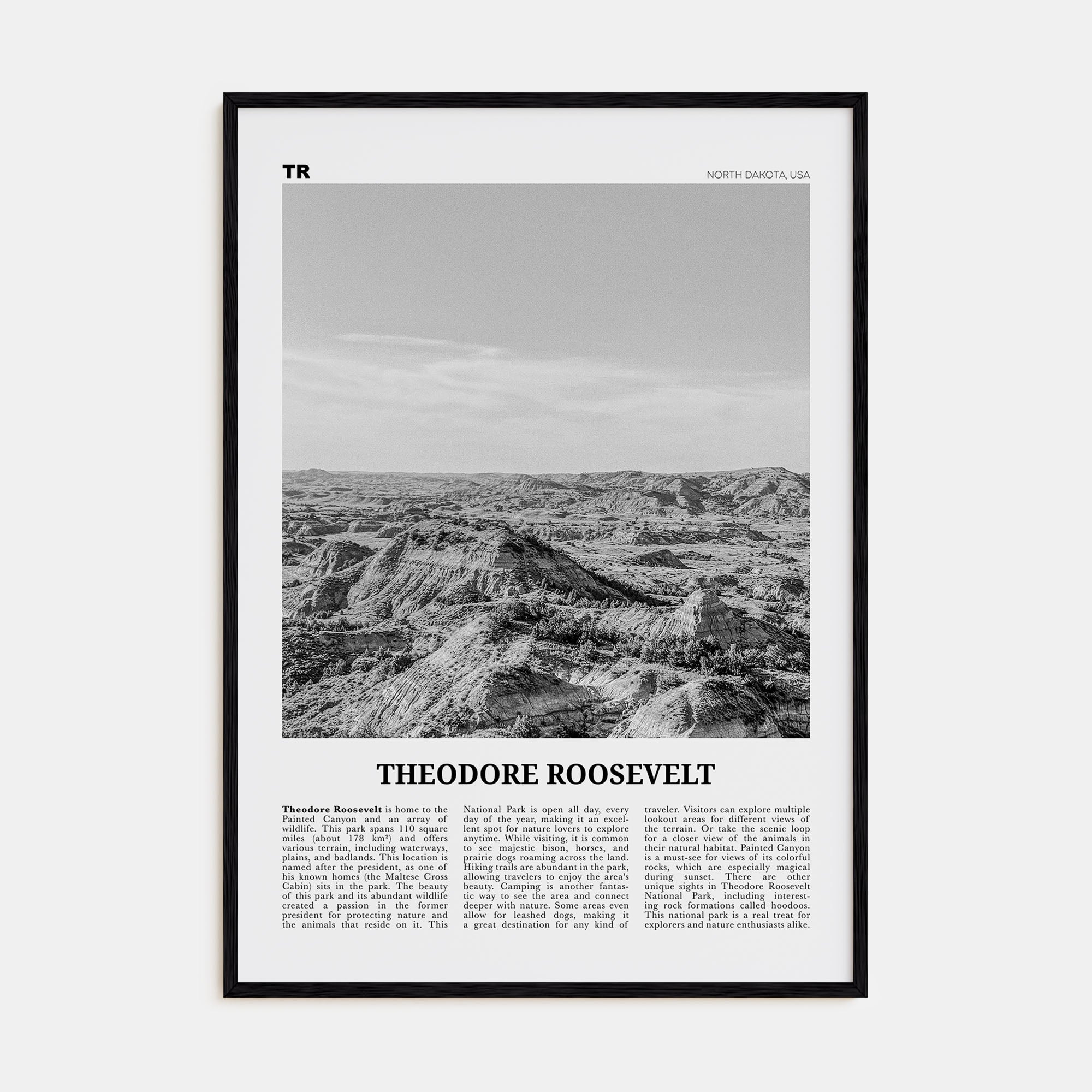 Theodore Roosevelt National Park Travel B&W Poster