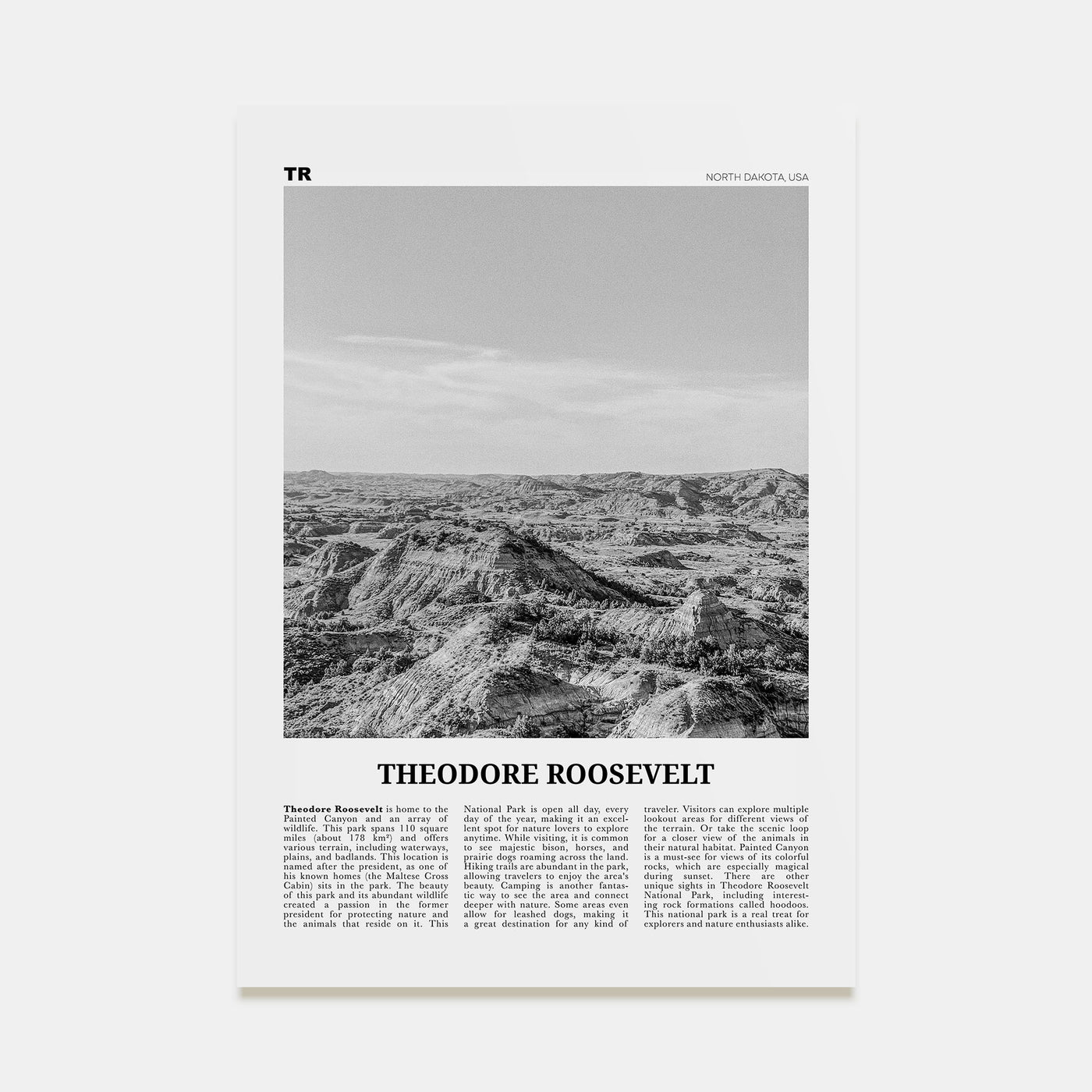 Theodore Roosevelt National Park Travel B&W Poster