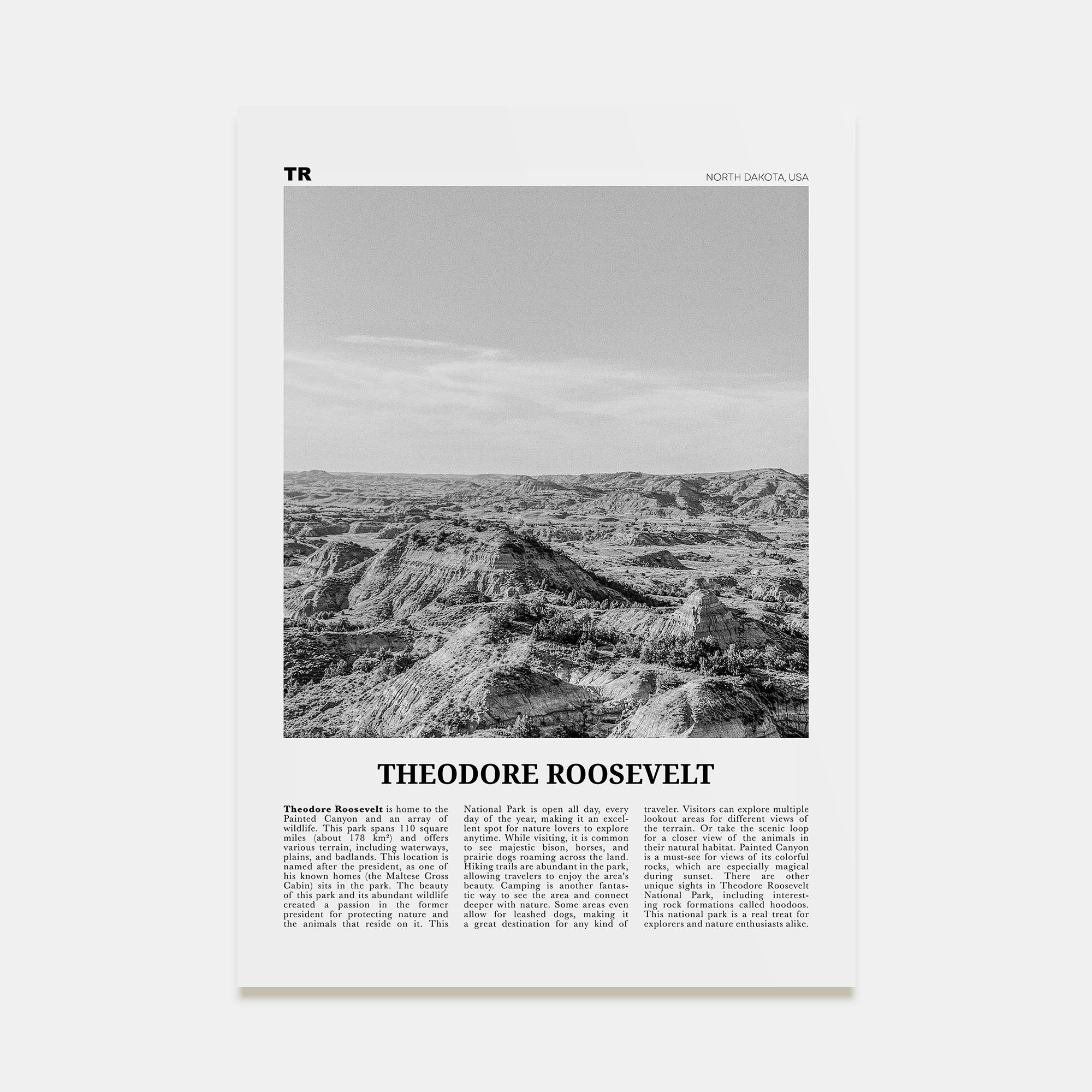 Theodore Roosevelt National Park Travel B&W Poster