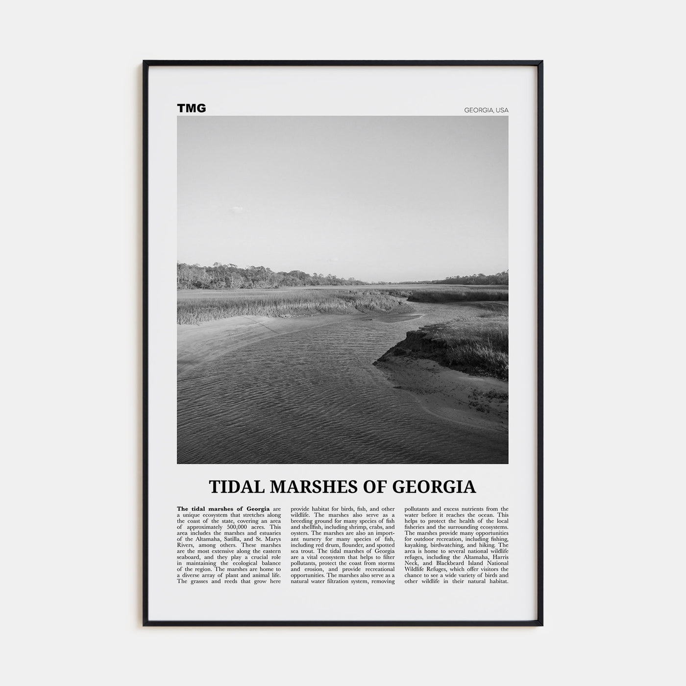 Tidal Marshes of Georgia Travel B&W Poster