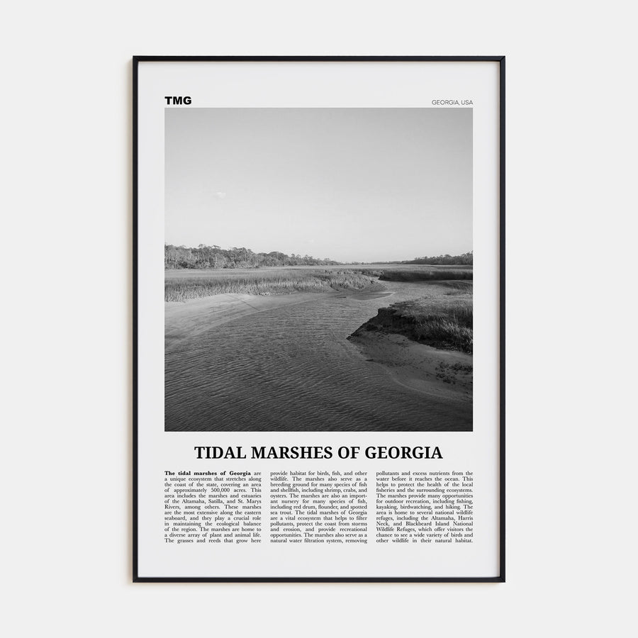 Tidal Marshes of Georgia Travel B&W Poster