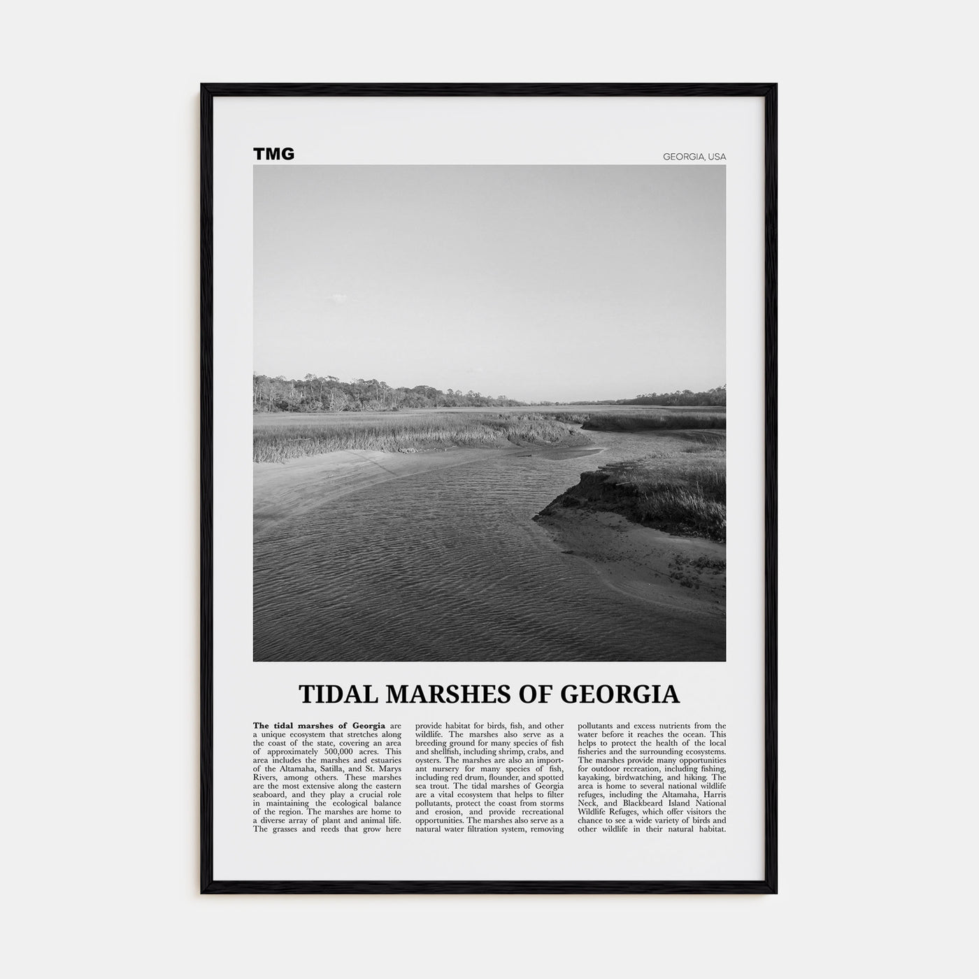 Tidal Marshes of Georgia Travel B&W Poster