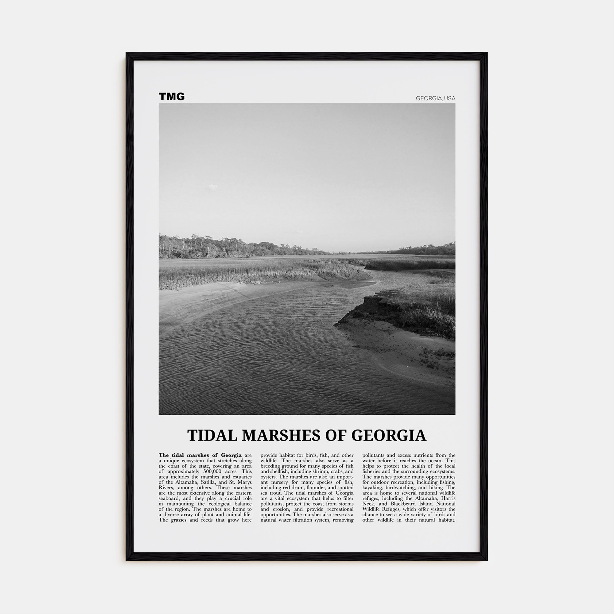 Tidal Marshes of Georgia Travel B&W Poster