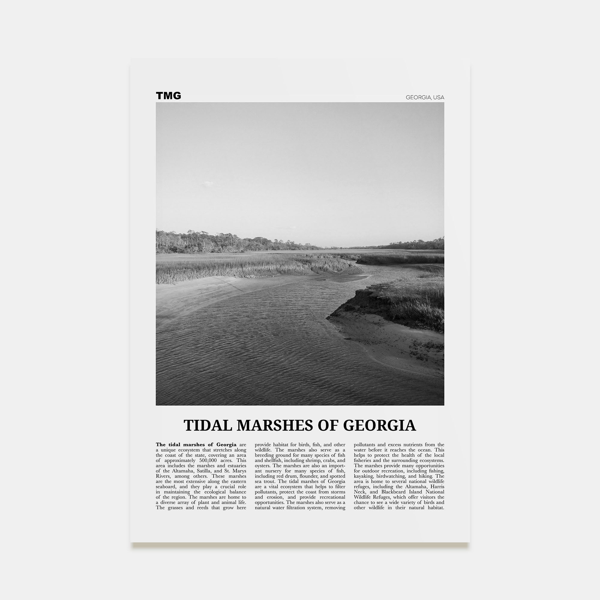 Tidal Marshes of Georgia Travel B&W Poster