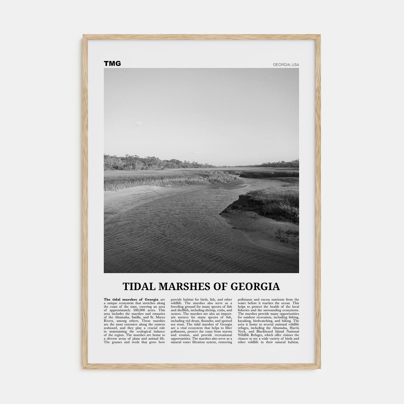 Tidal Marshes of Georgia Travel B&W Poster