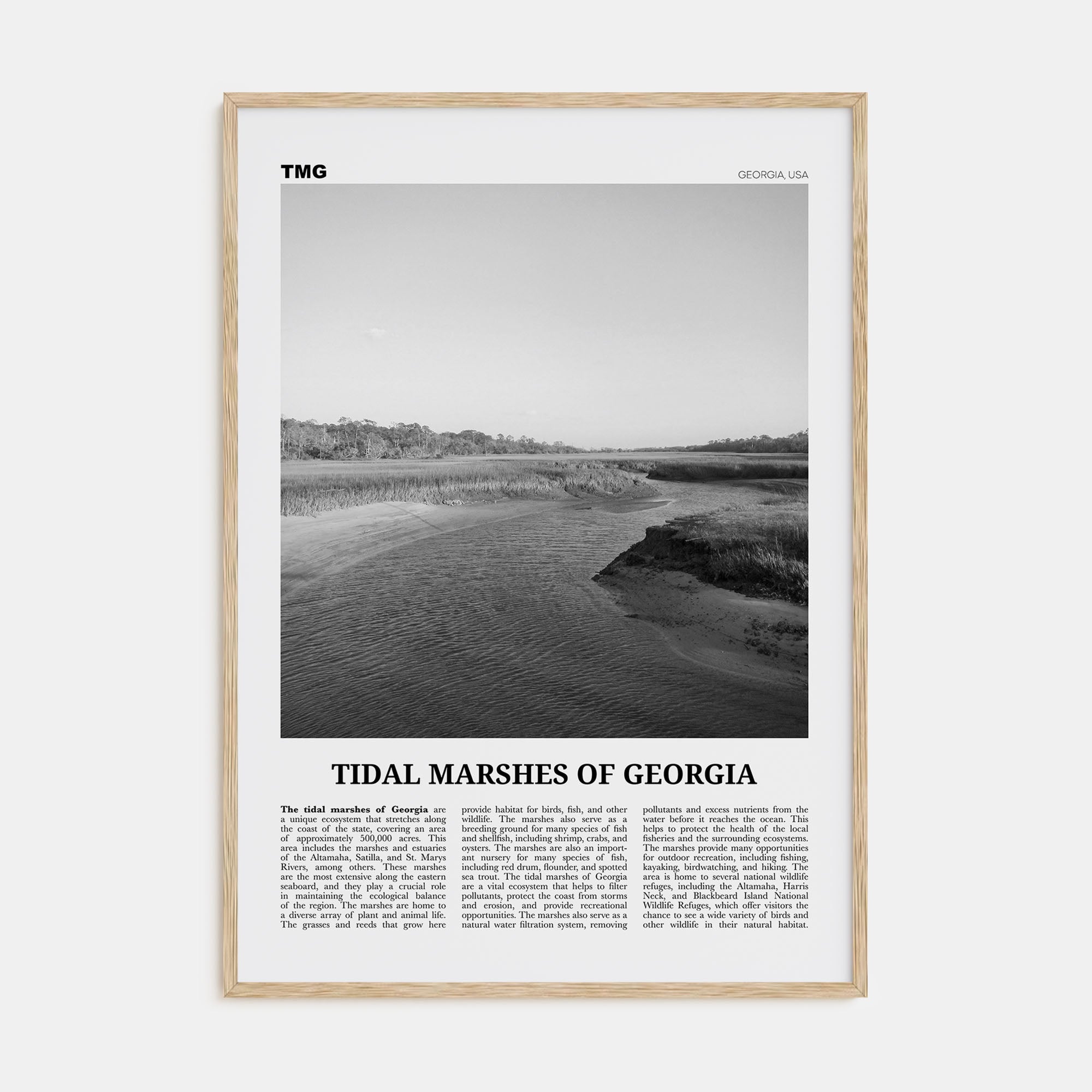 Tidal Marshes of Georgia Travel B&W Poster