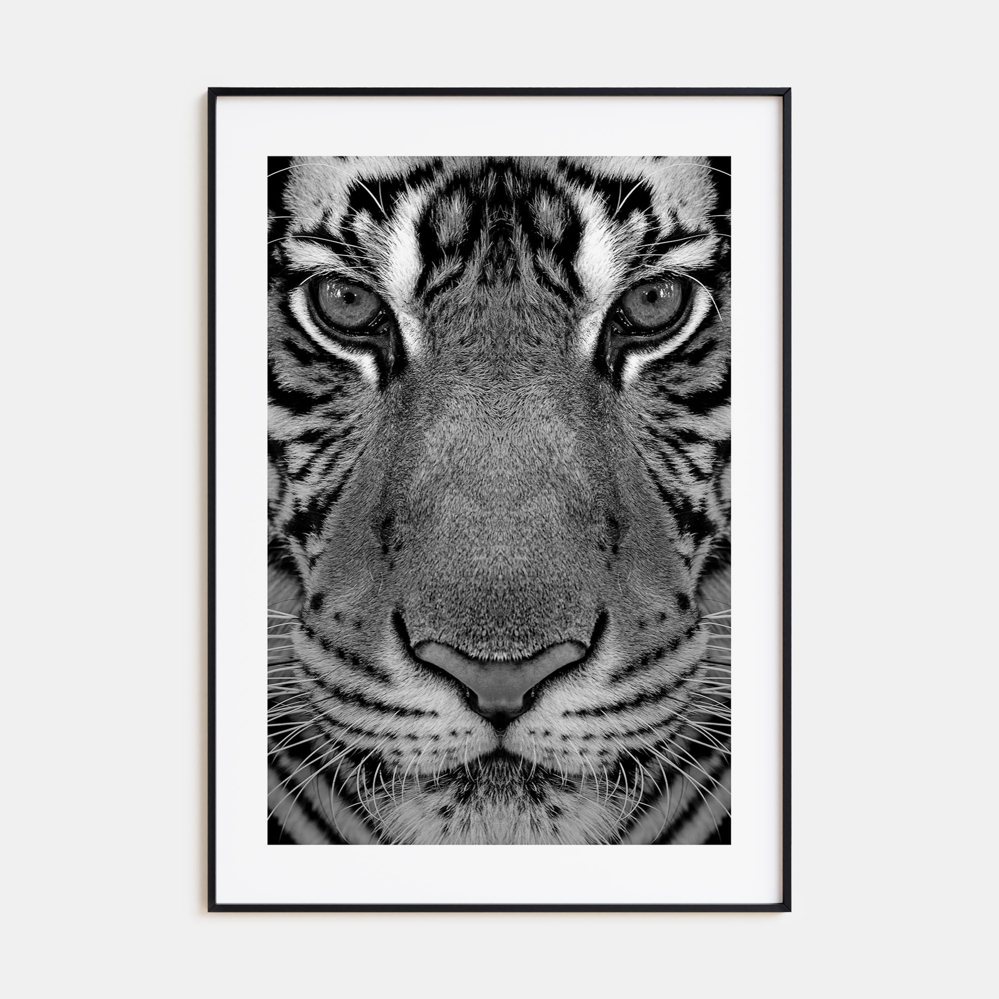 Tiger Photo B&W No 1 Poster