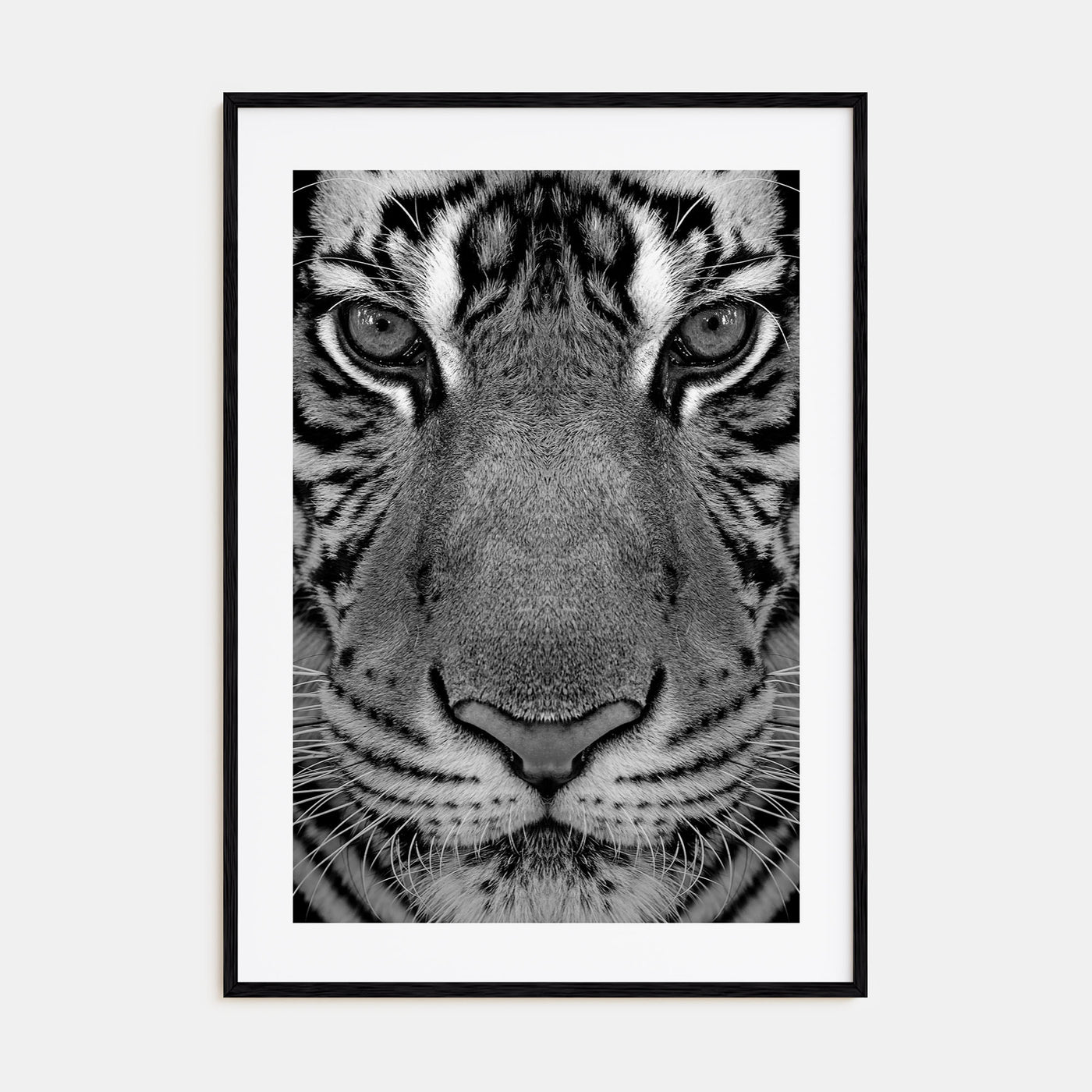 Tiger Photo B&W No 1 Poster