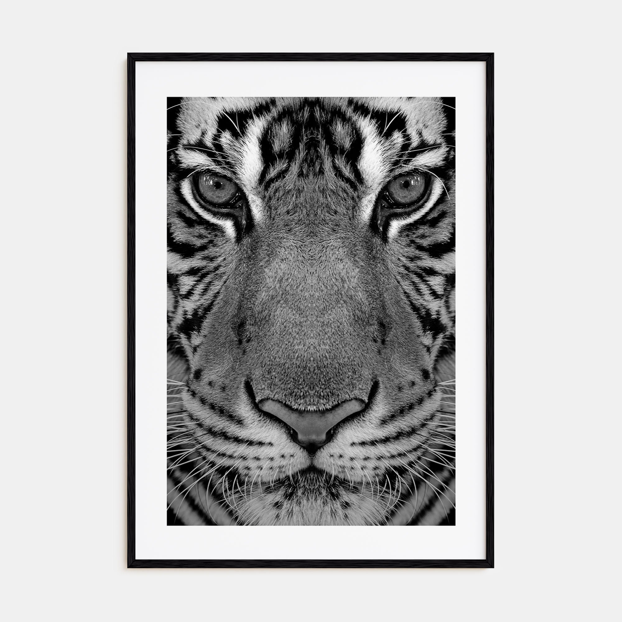 Tiger Photo B&W No 1 Poster