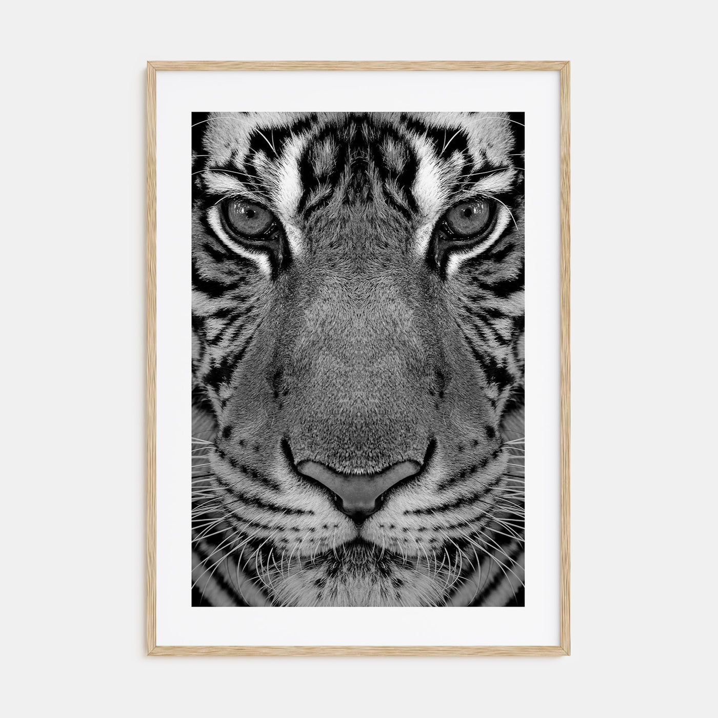 Tiger Photo B&W No 1 Poster