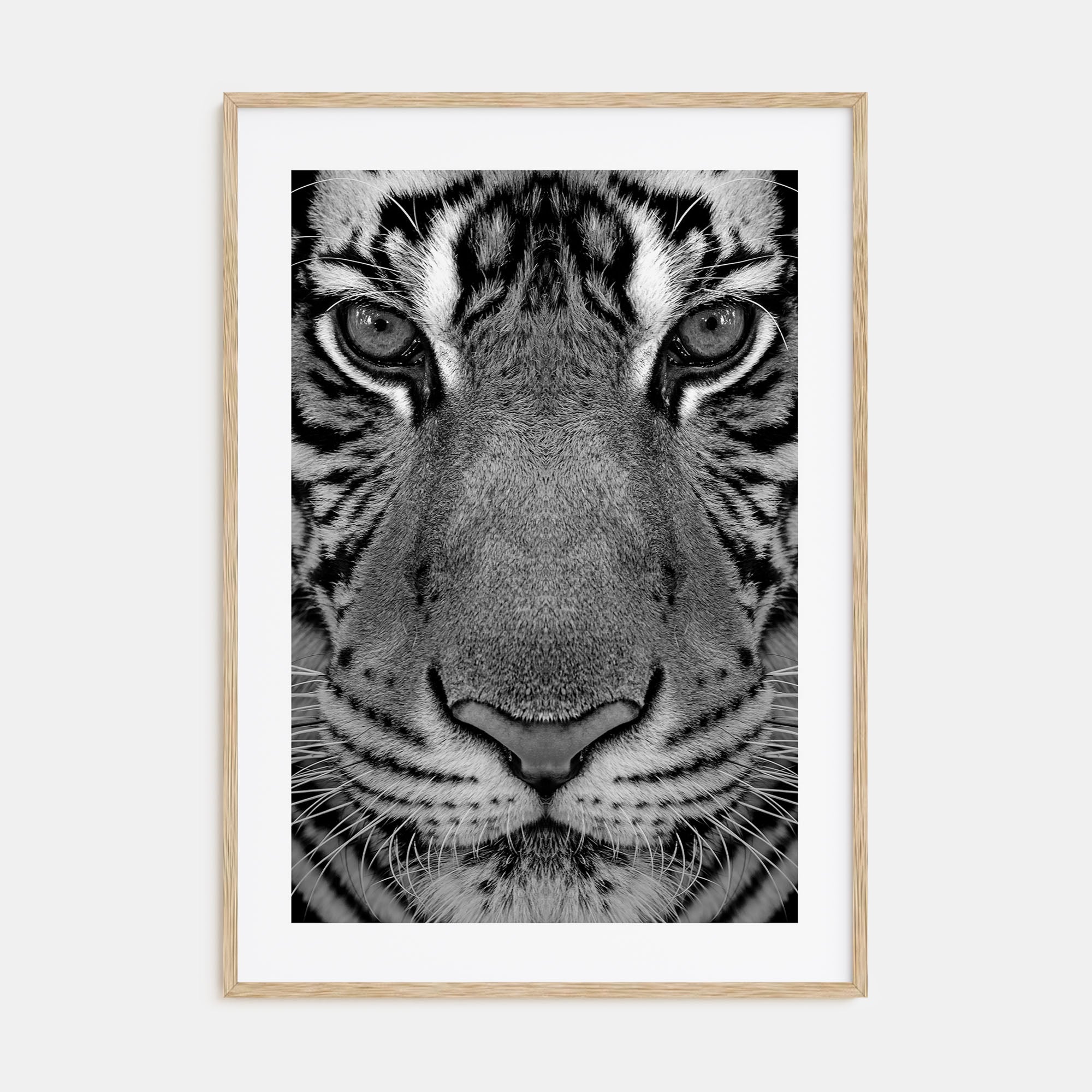 Tiger Photo B&W No 1 Poster
