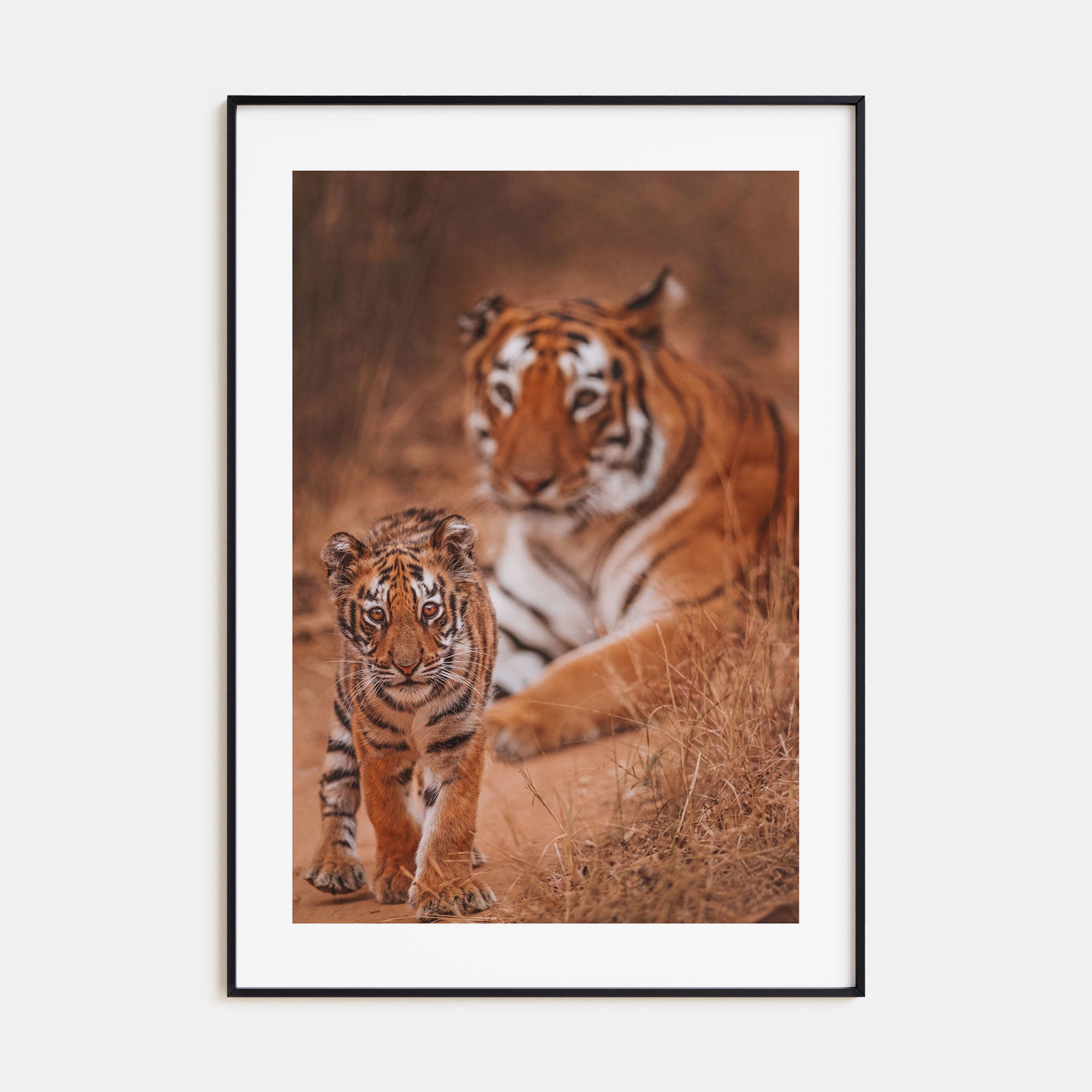 Tiger Photo Color Poster