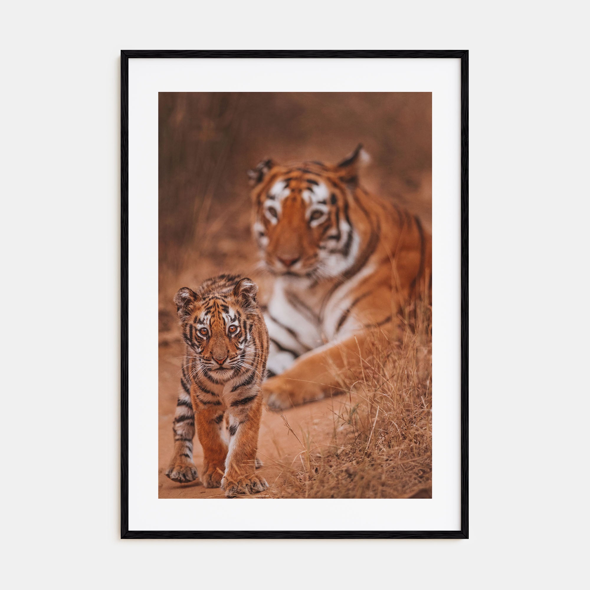 Tiger Photo Color Poster