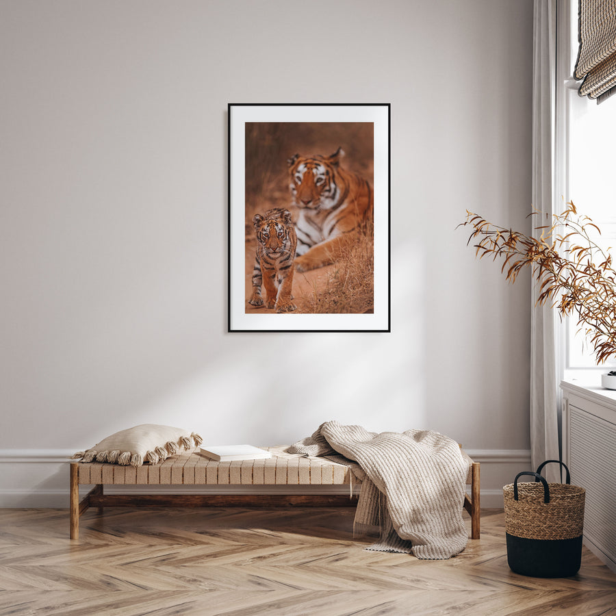 Tiger Photo Color Poster