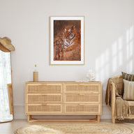 Tiger Photo Color Poster