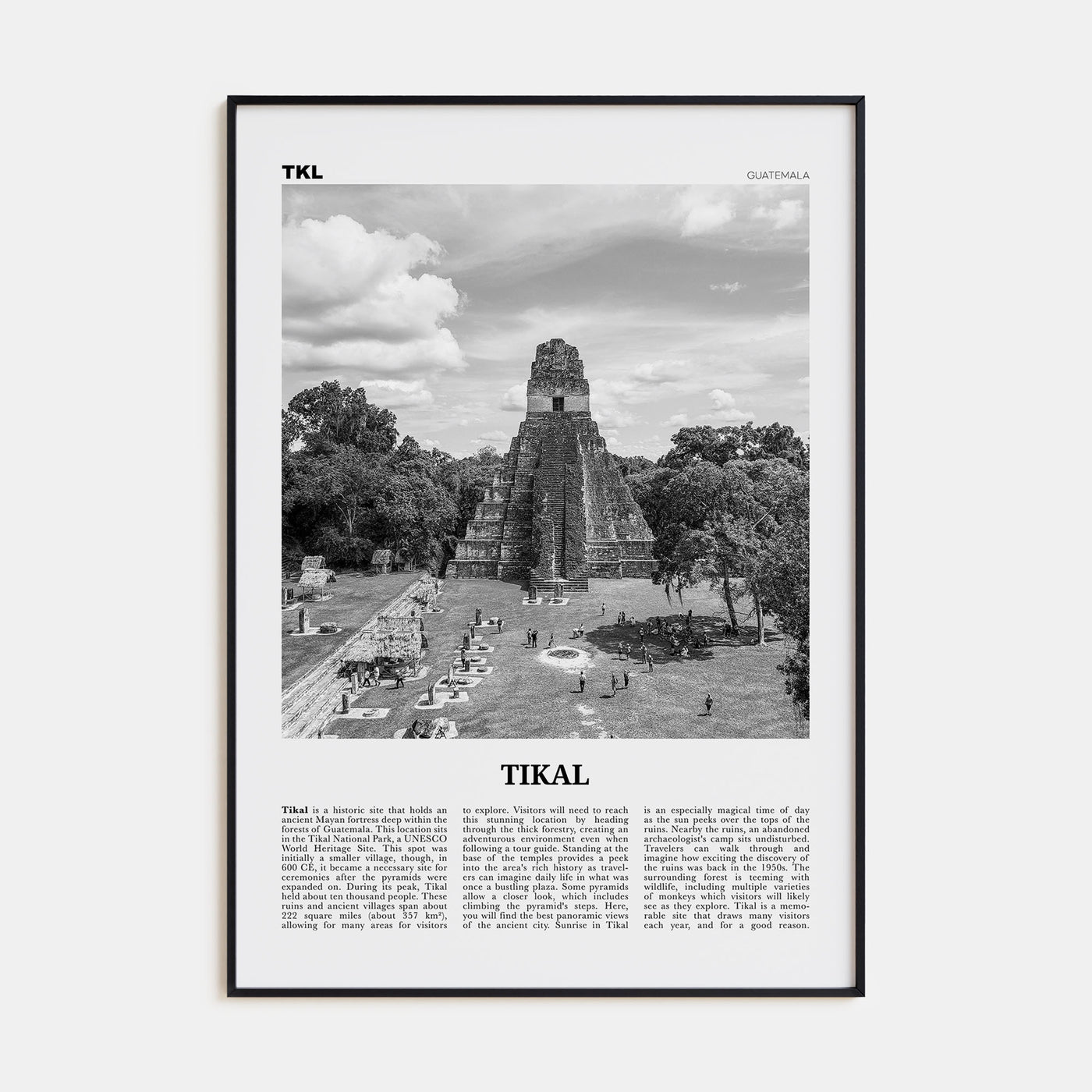 Tikal Travel B&W Poster