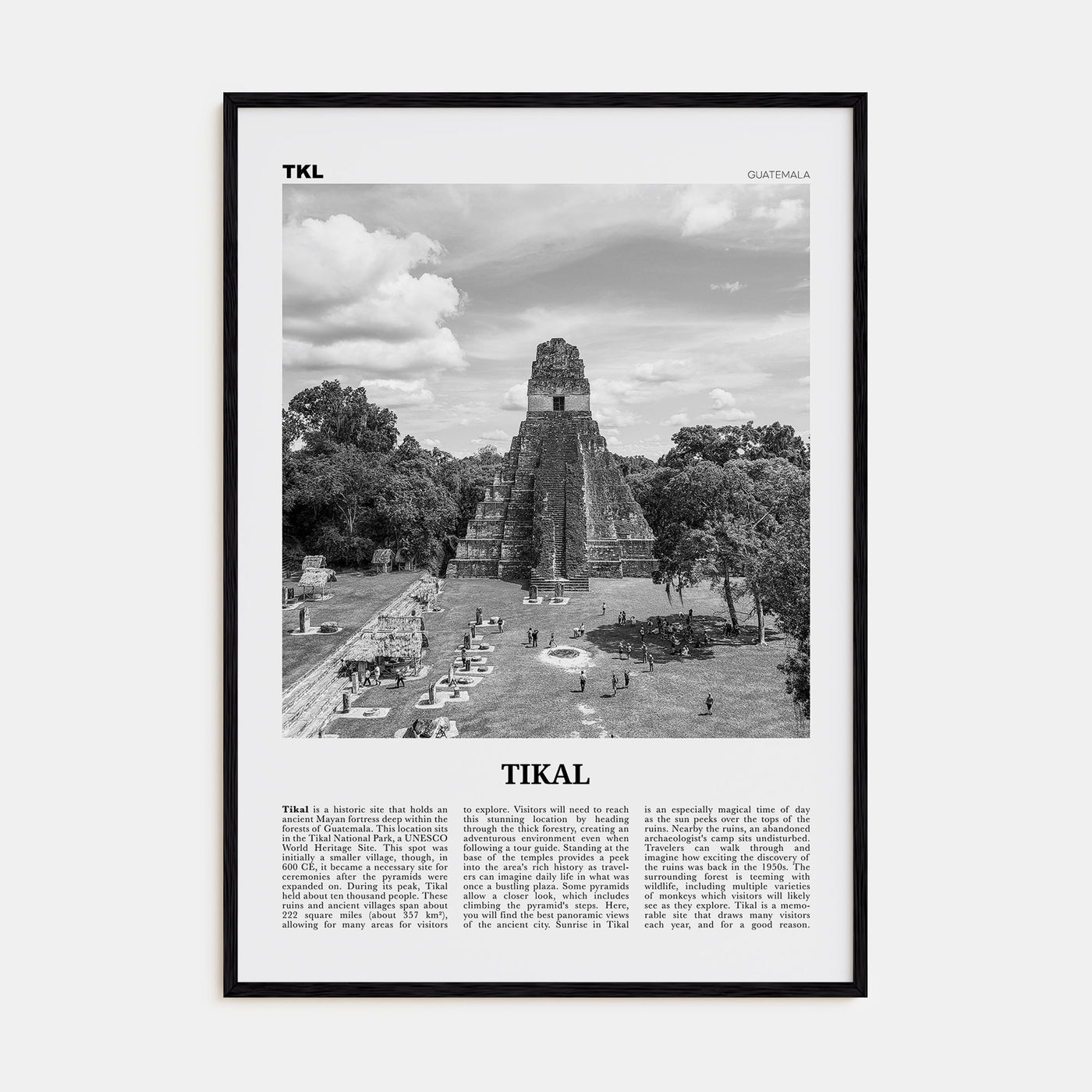 Tikal Travel B&W Poster