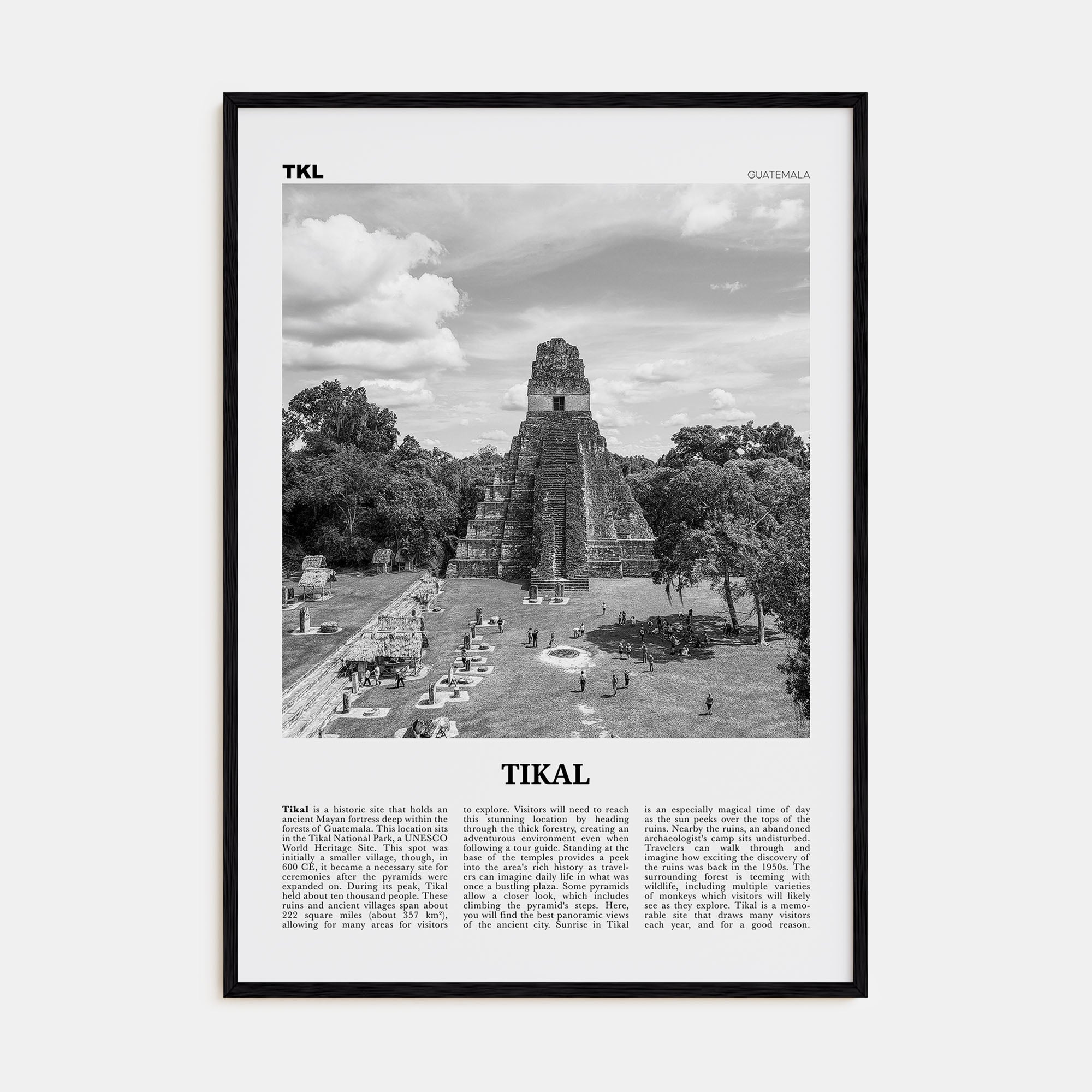 Tikal Travel B&W Poster