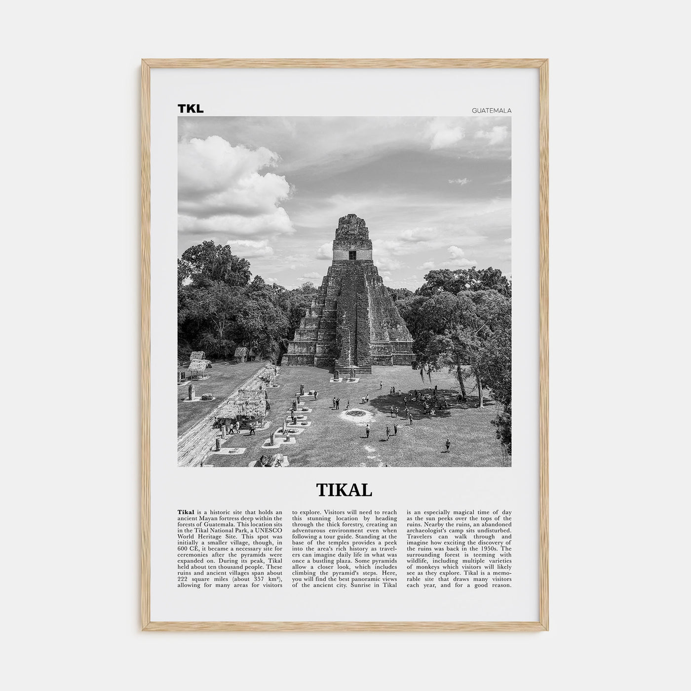 Tikal Travel B&W Poster