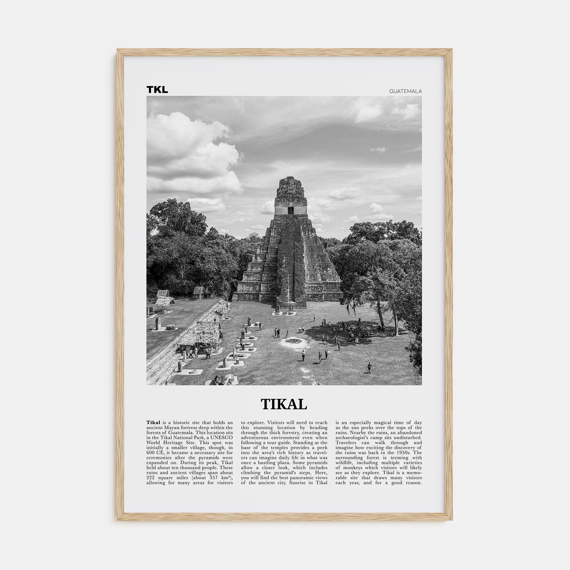 Tikal Travel B&W Poster