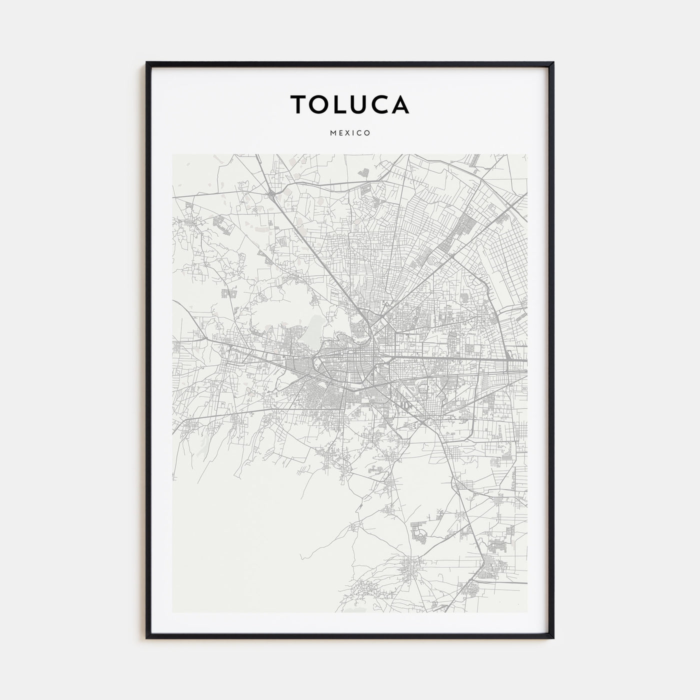 Toluca Map Portrait Poster