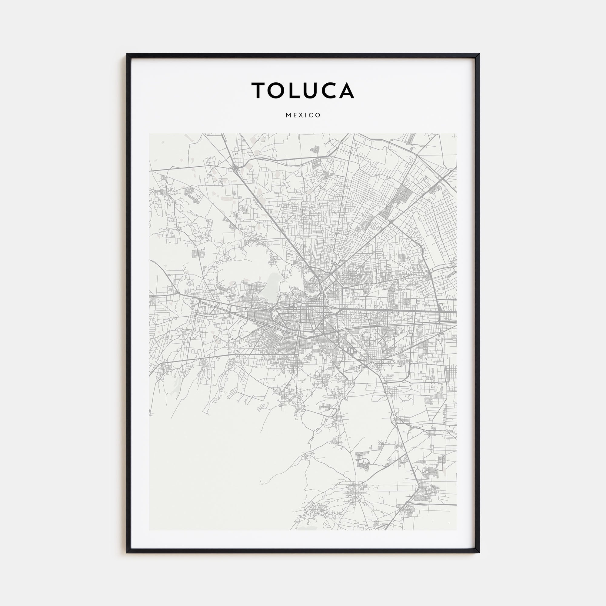 Toluca Map Portrait Poster