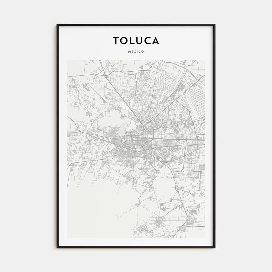 Toluca Map Portrait Poster