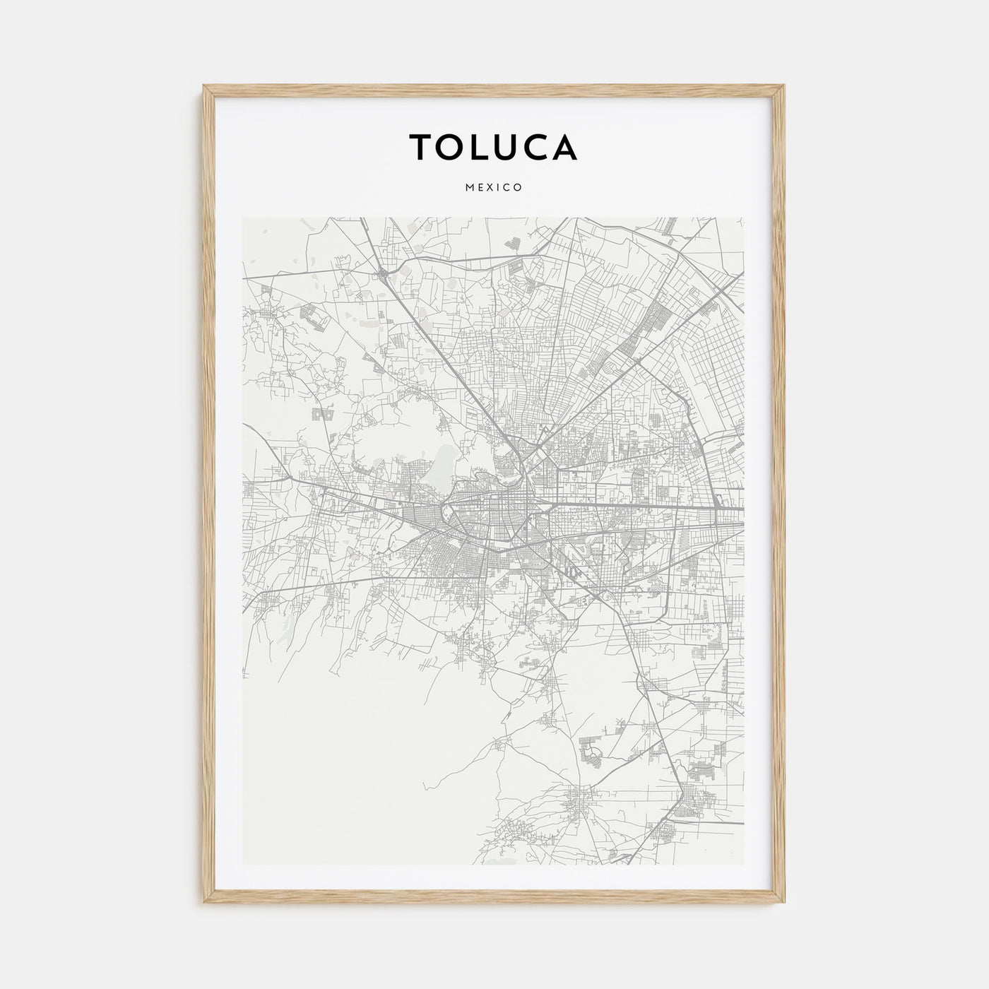 Toluca Map Portrait Poster