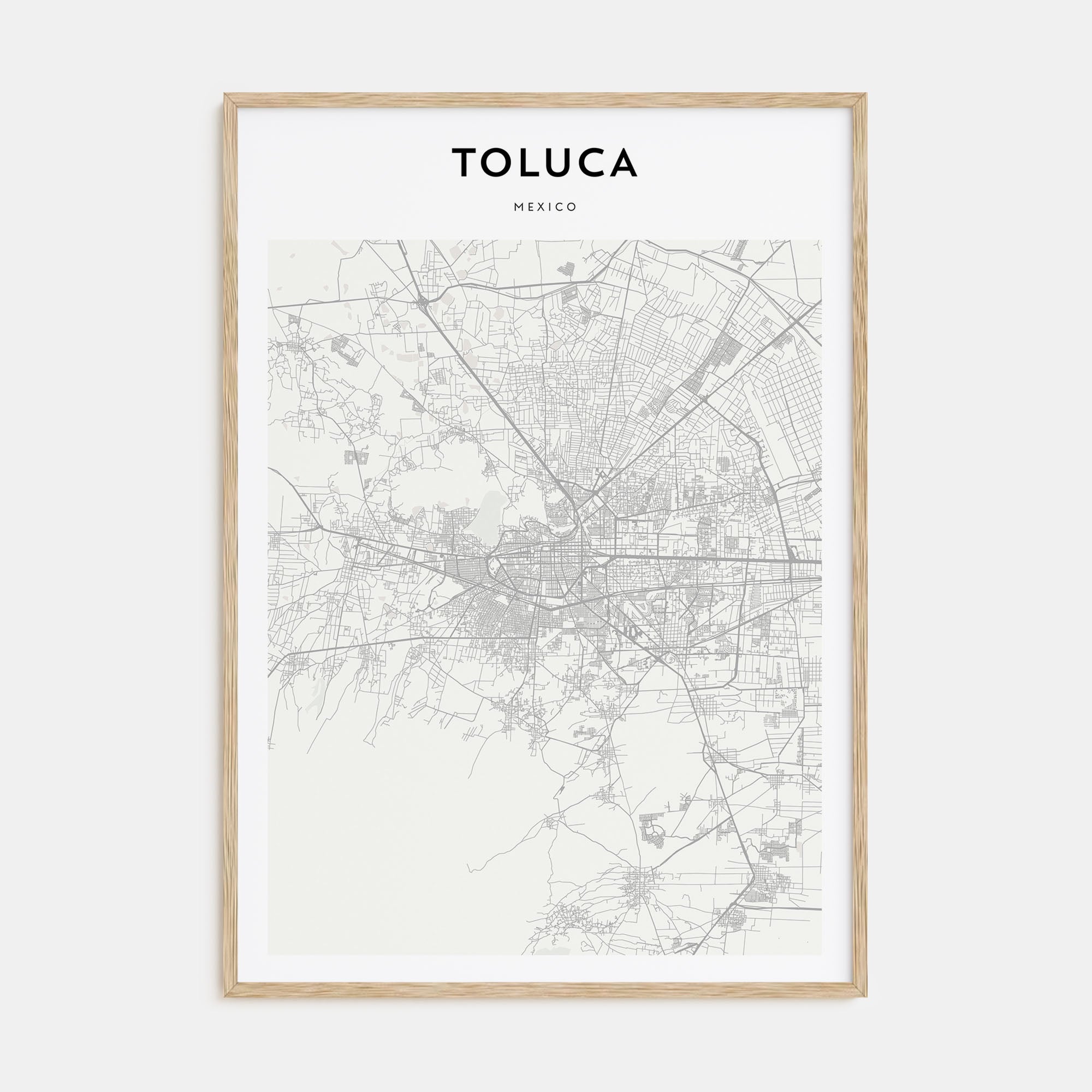 Toluca Map Portrait Poster