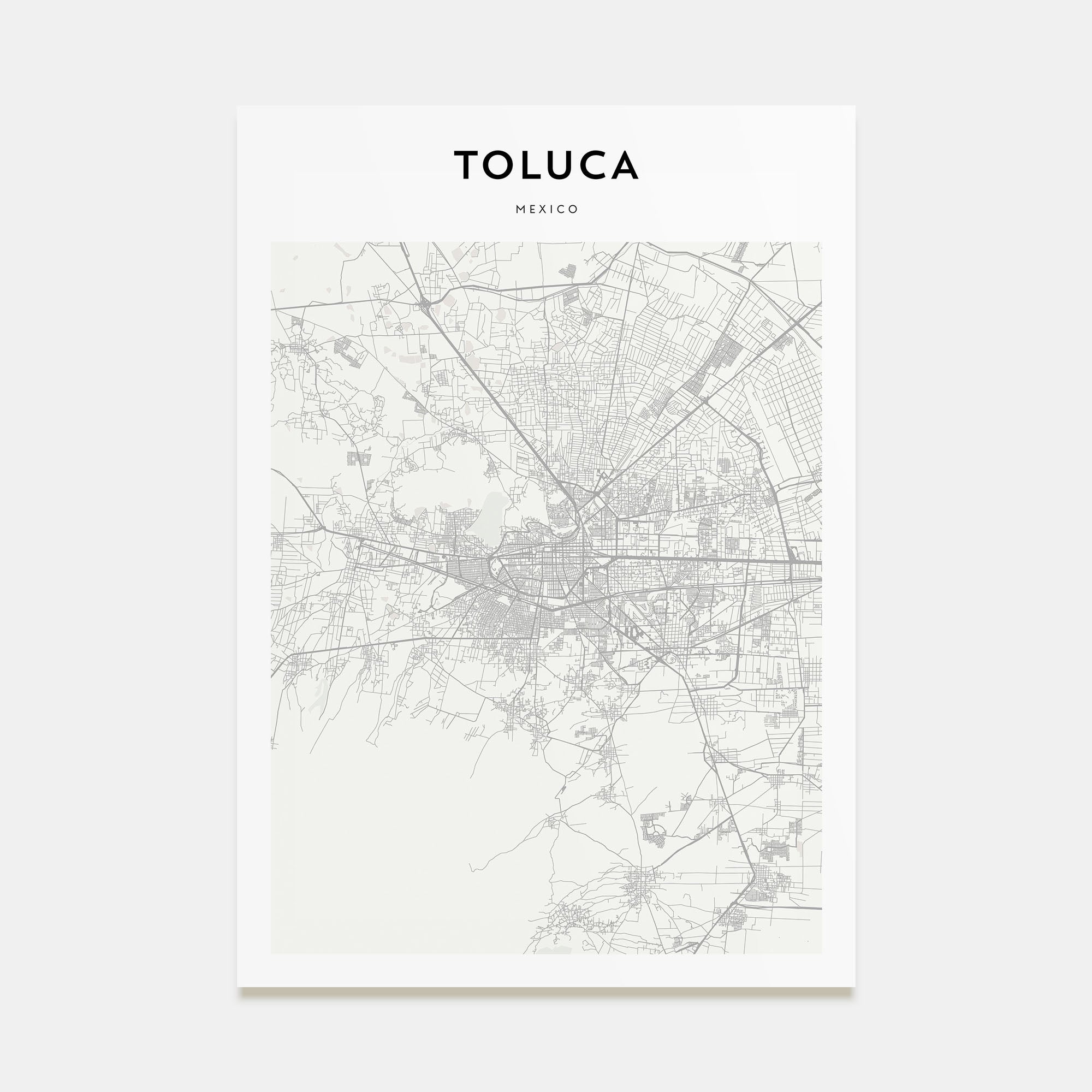 Toluca Map Portrait Poster