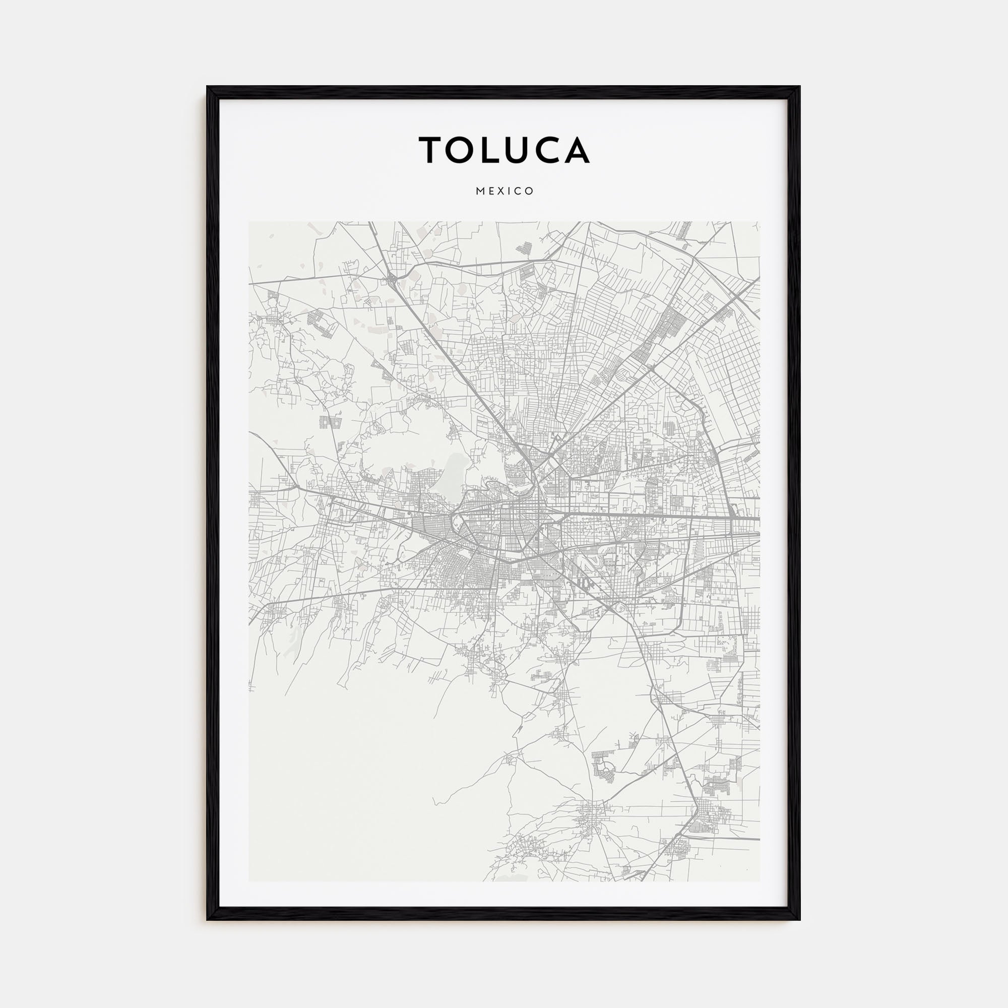Toluca Map Portrait Poster