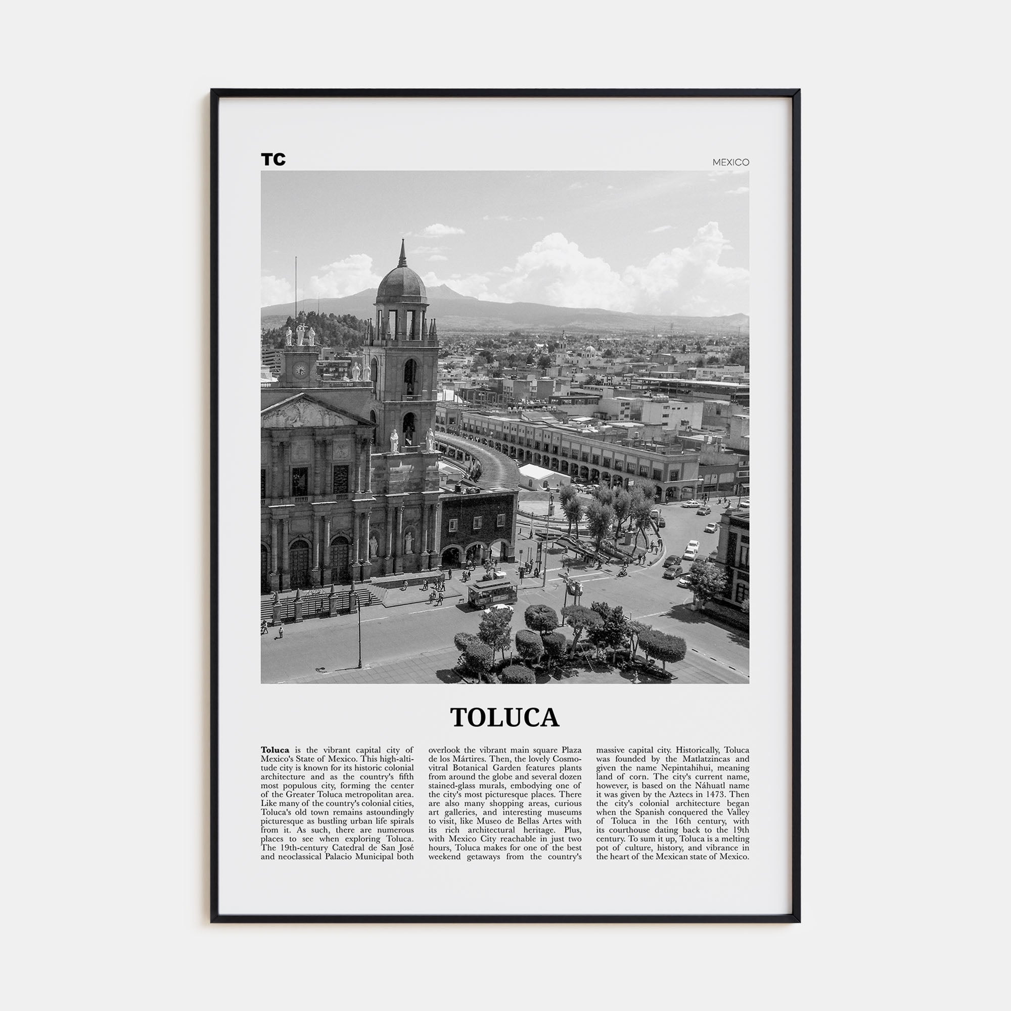 Toluca Travel B&W Poster