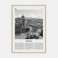 Toluca Travel B&W Poster