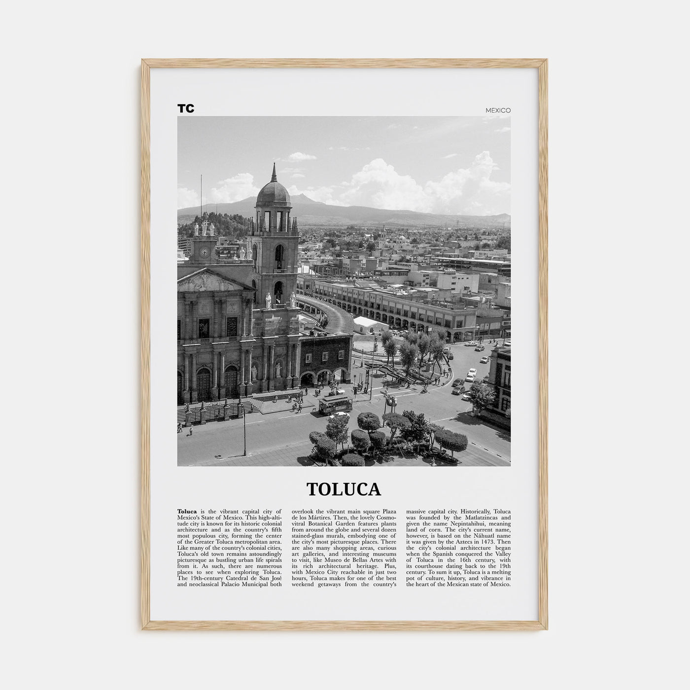 Toluca Travel B&W Poster