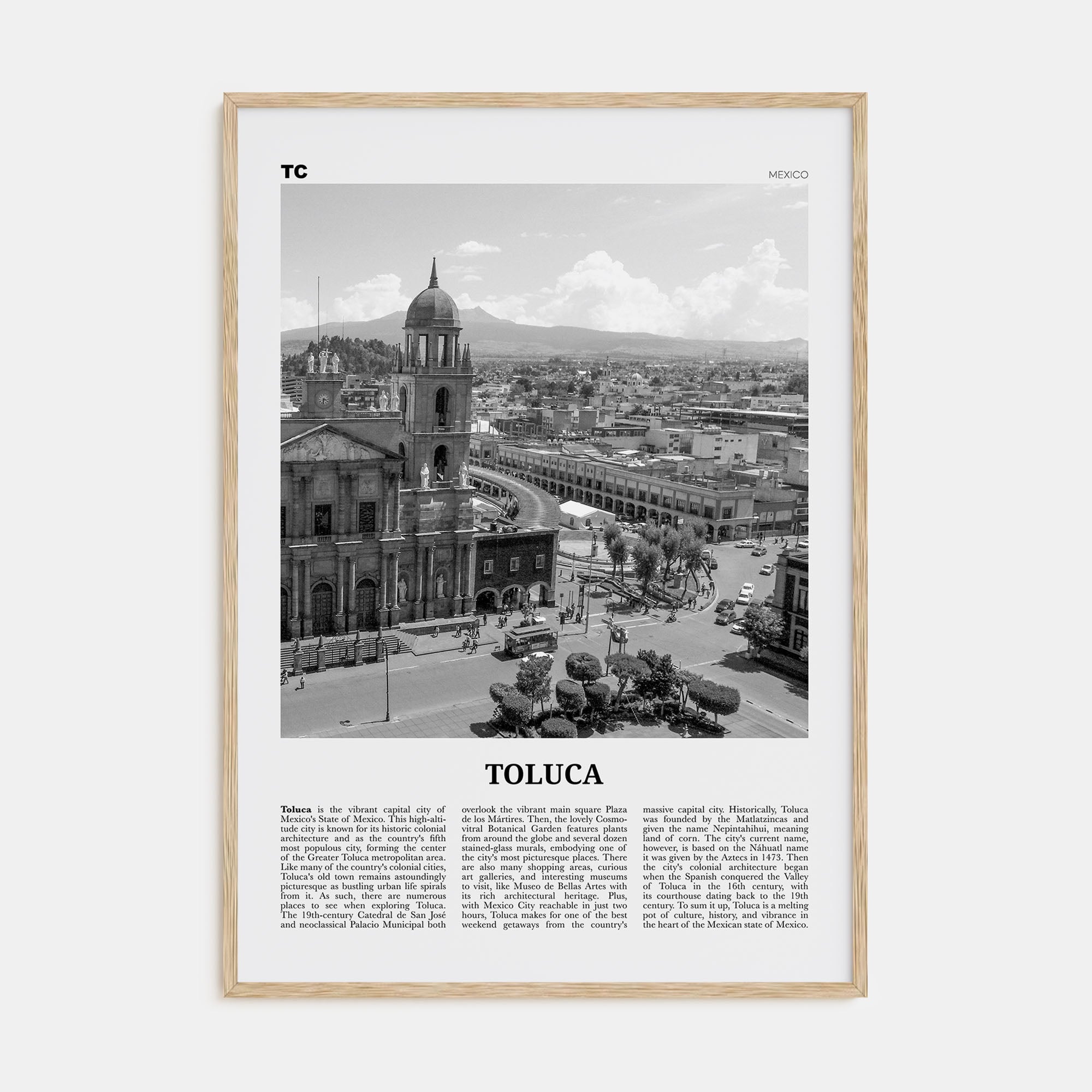 Toluca Travel B&W Poster