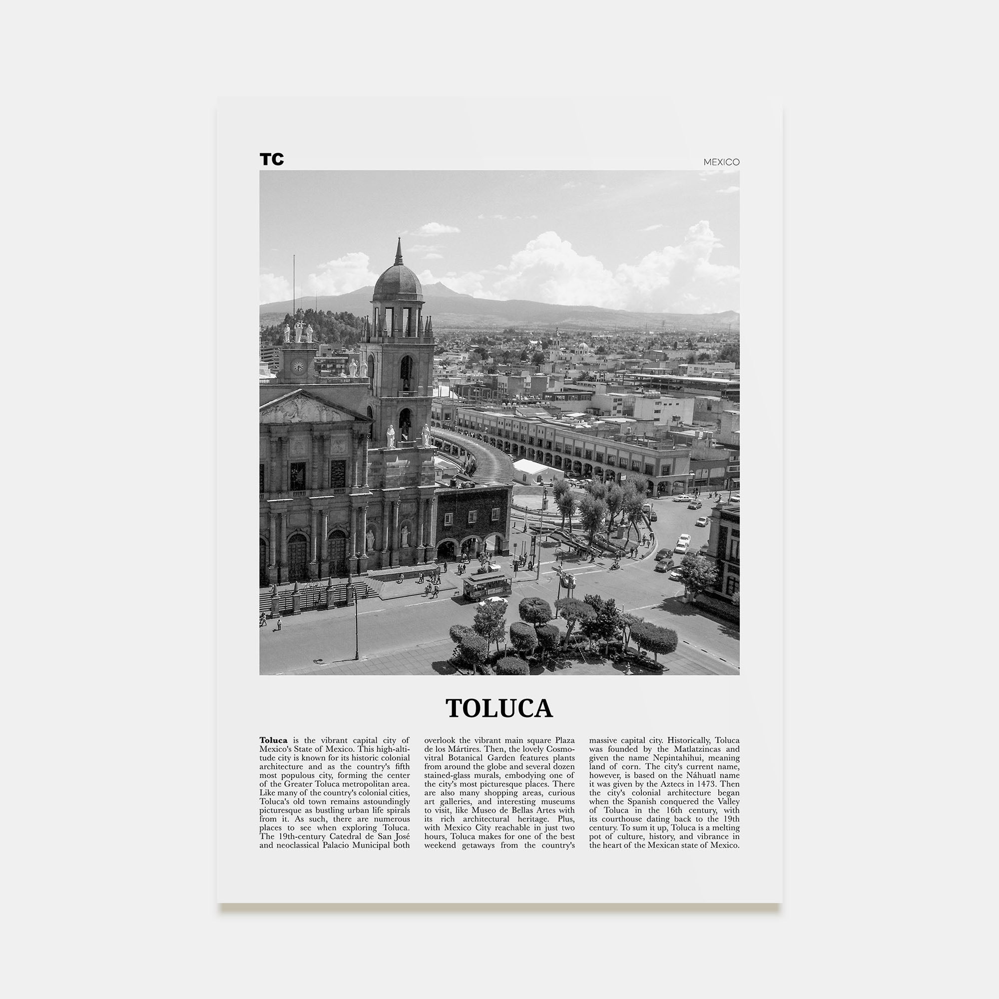Toluca Travel B&W Poster