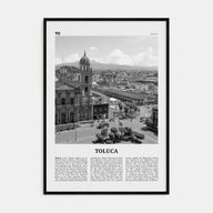 Toluca Travel B&W Poster