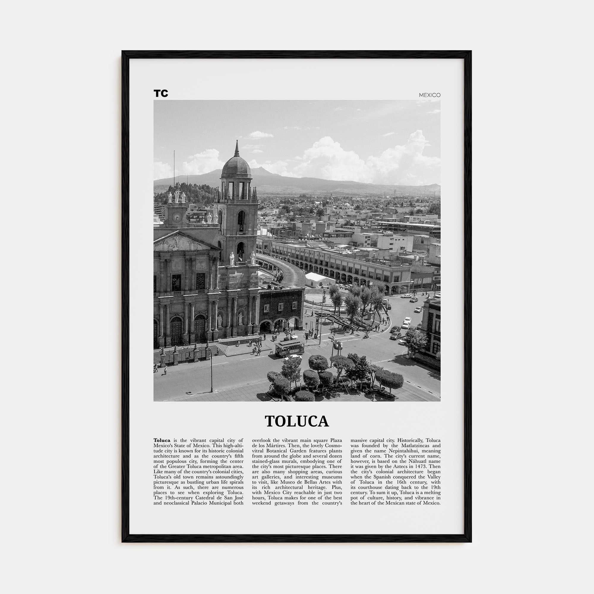 Toluca Travel B&W Poster