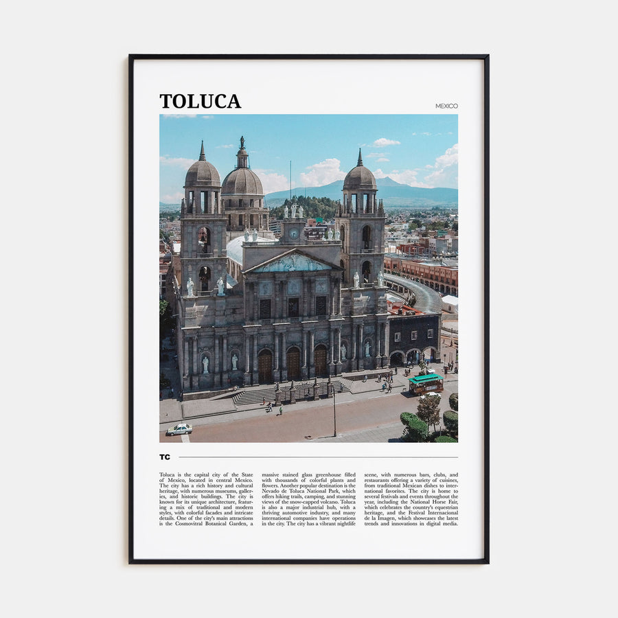 Toluca Travel Color Poster