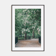 Tompkins Square Park Photo Color Poster
