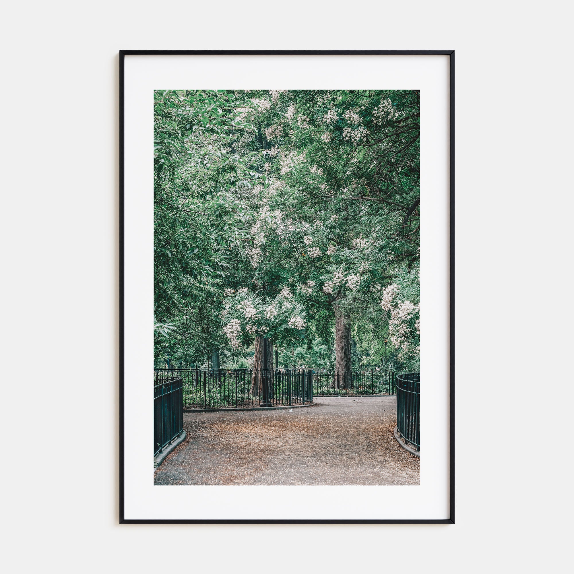 Tompkins Square Park Photo Color Poster