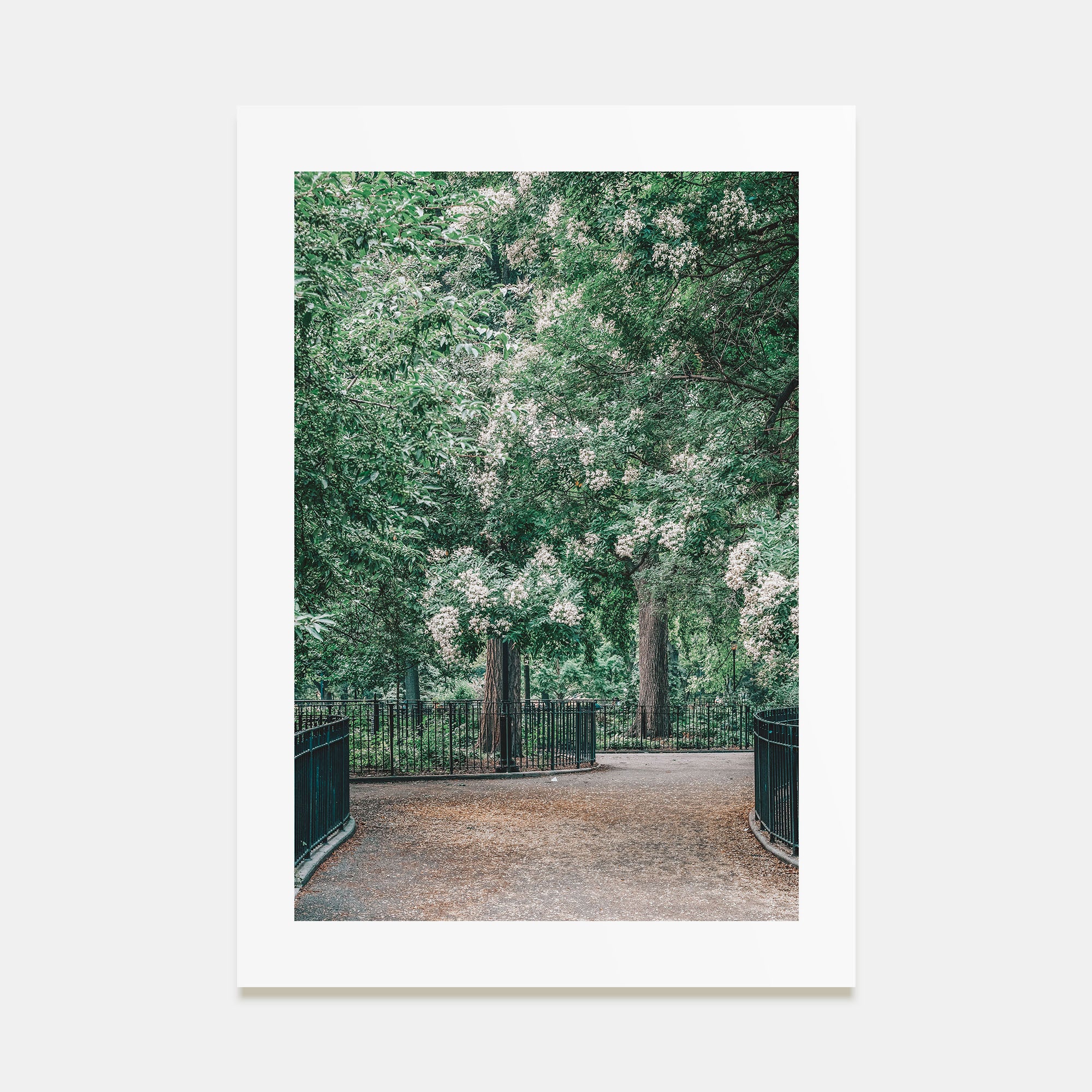 Tompkins Square Park Photo Color Poster