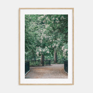 Tompkins Square Park Photo Color Poster