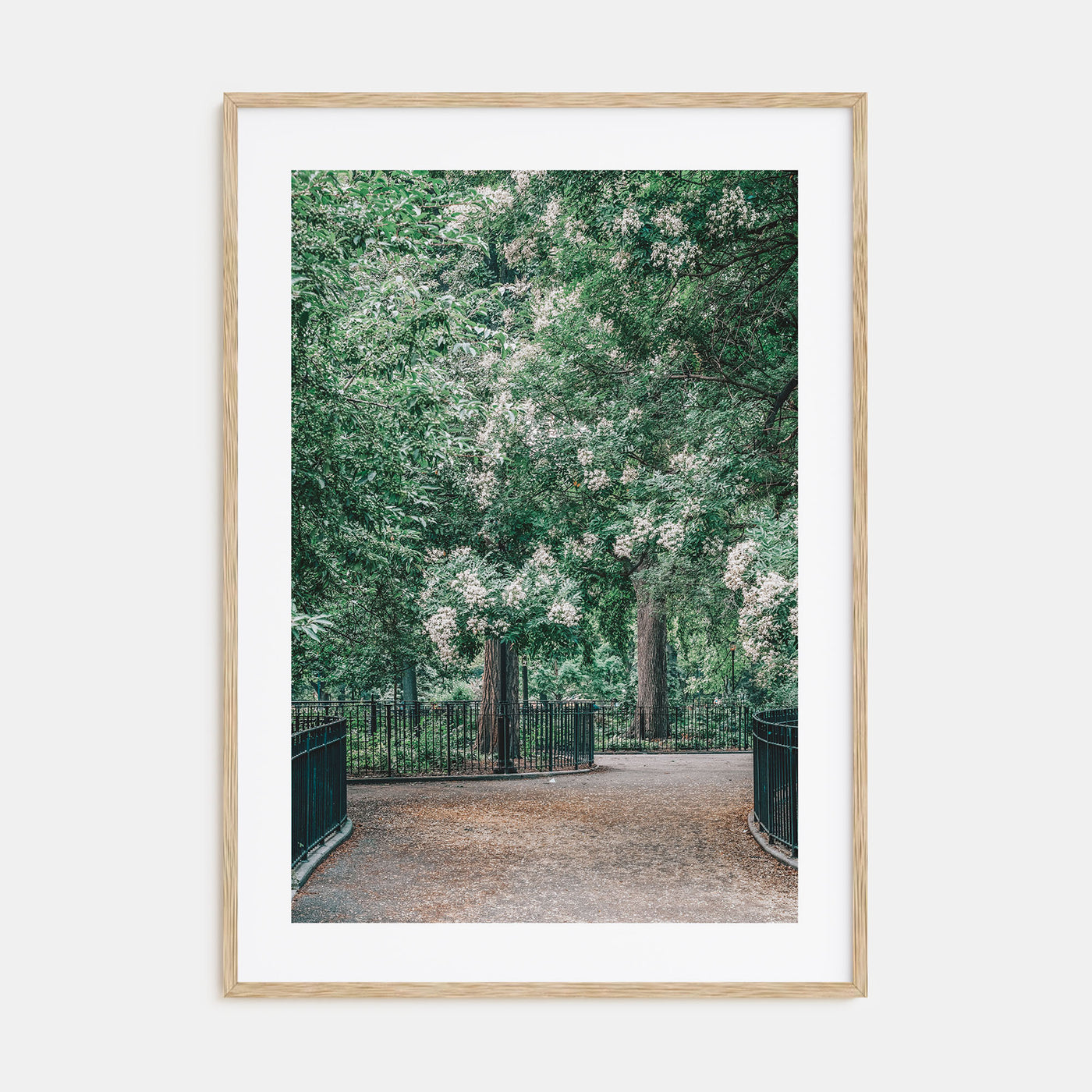 Tompkins Square Park Photo Color Poster