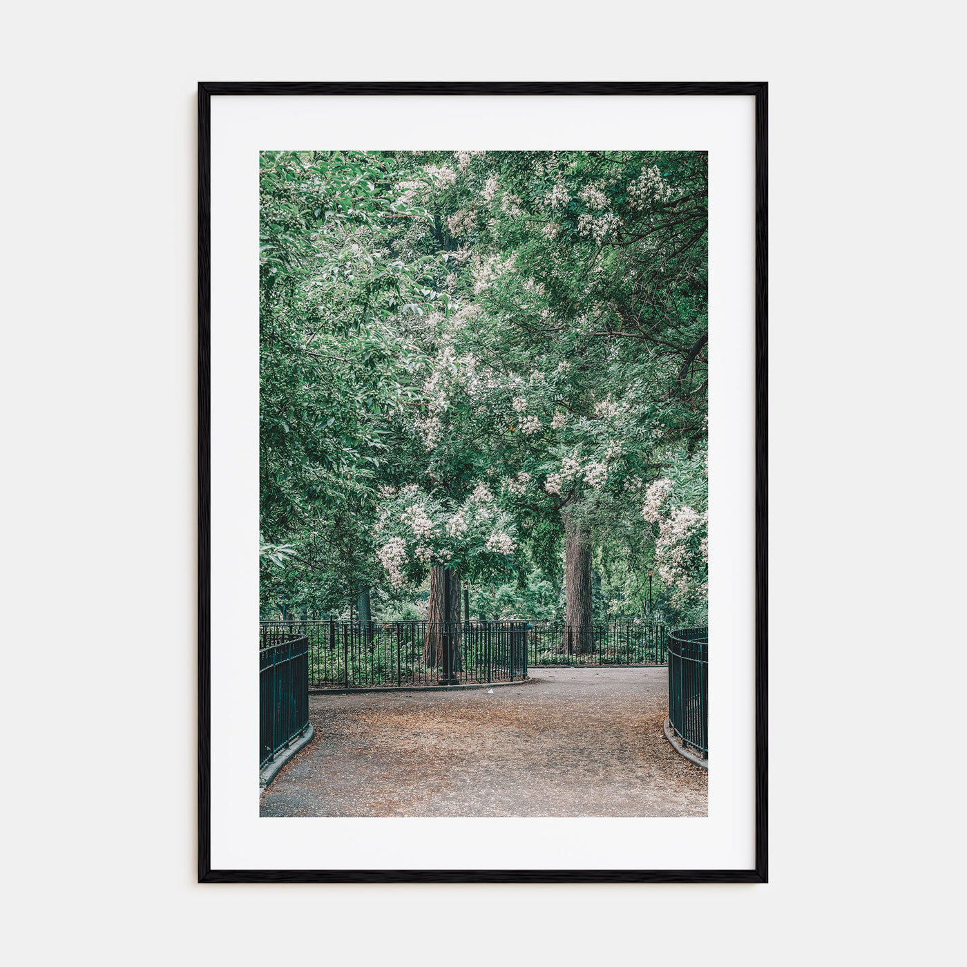 Tompkins Square Park Photo Color Poster